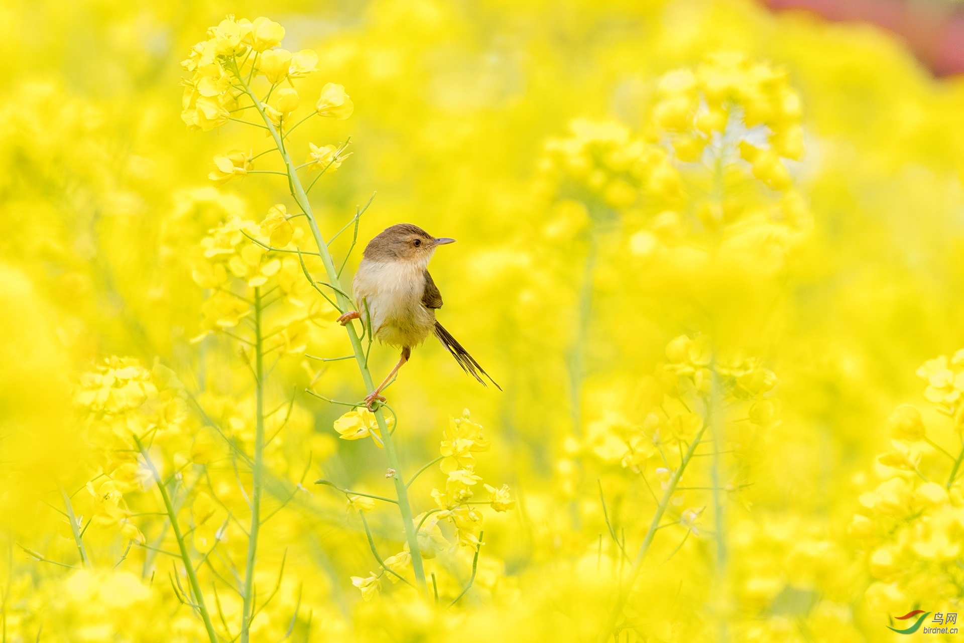 8���в���