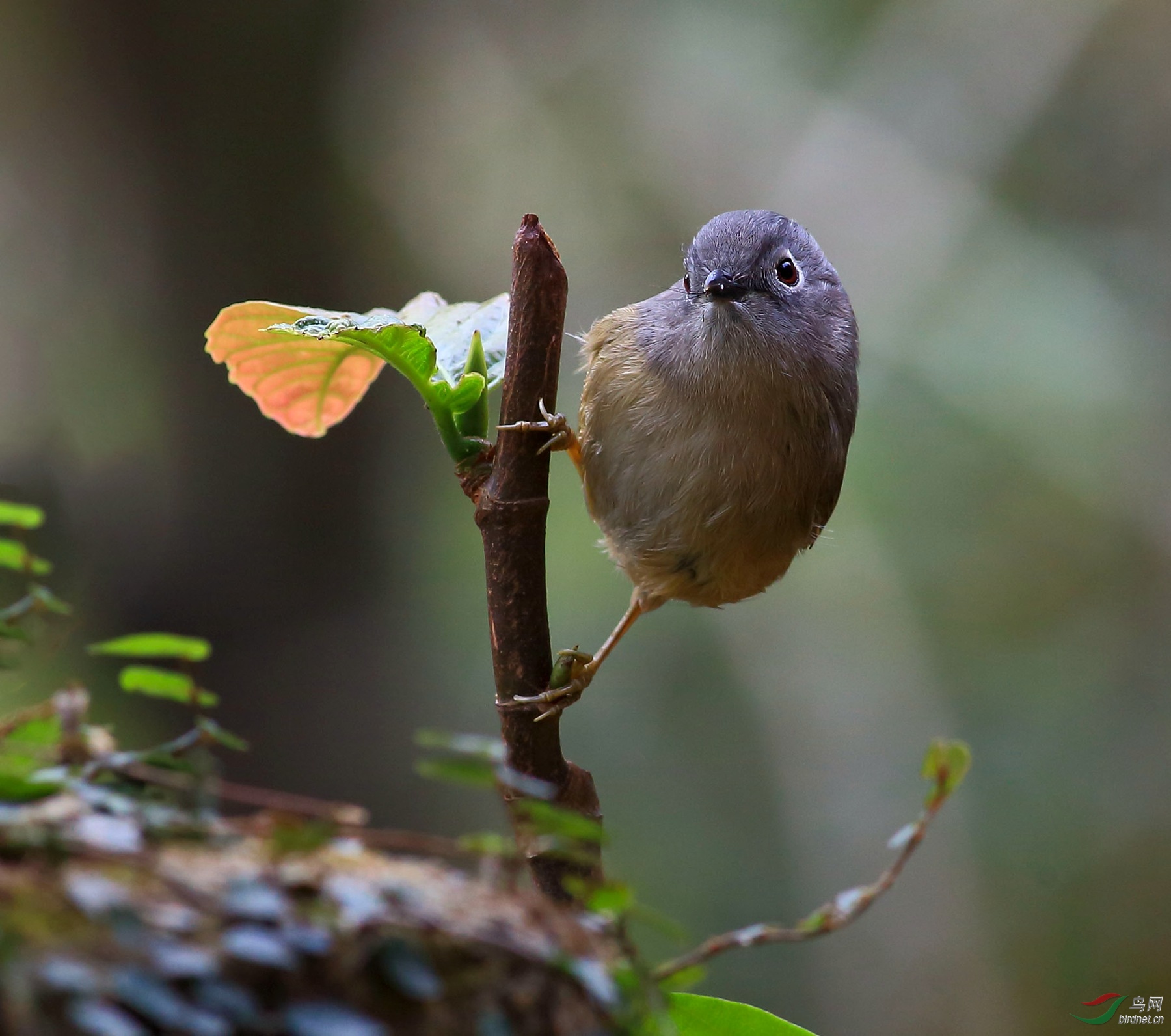 2020-01-20 08-58-21.JPG