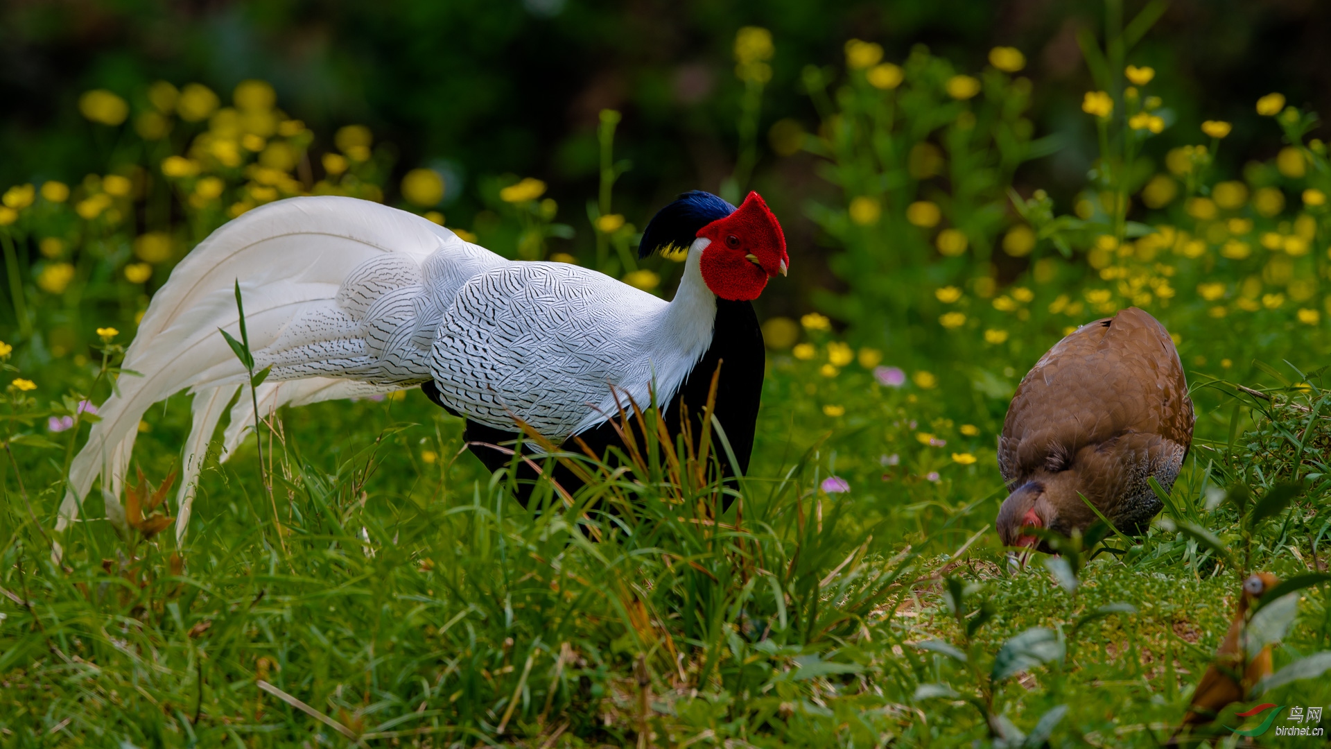 _DSC4092.jpg