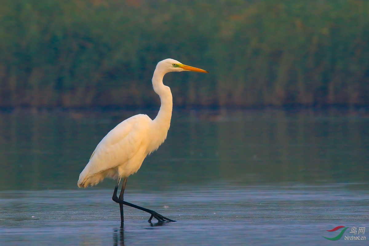 �����еĴ����