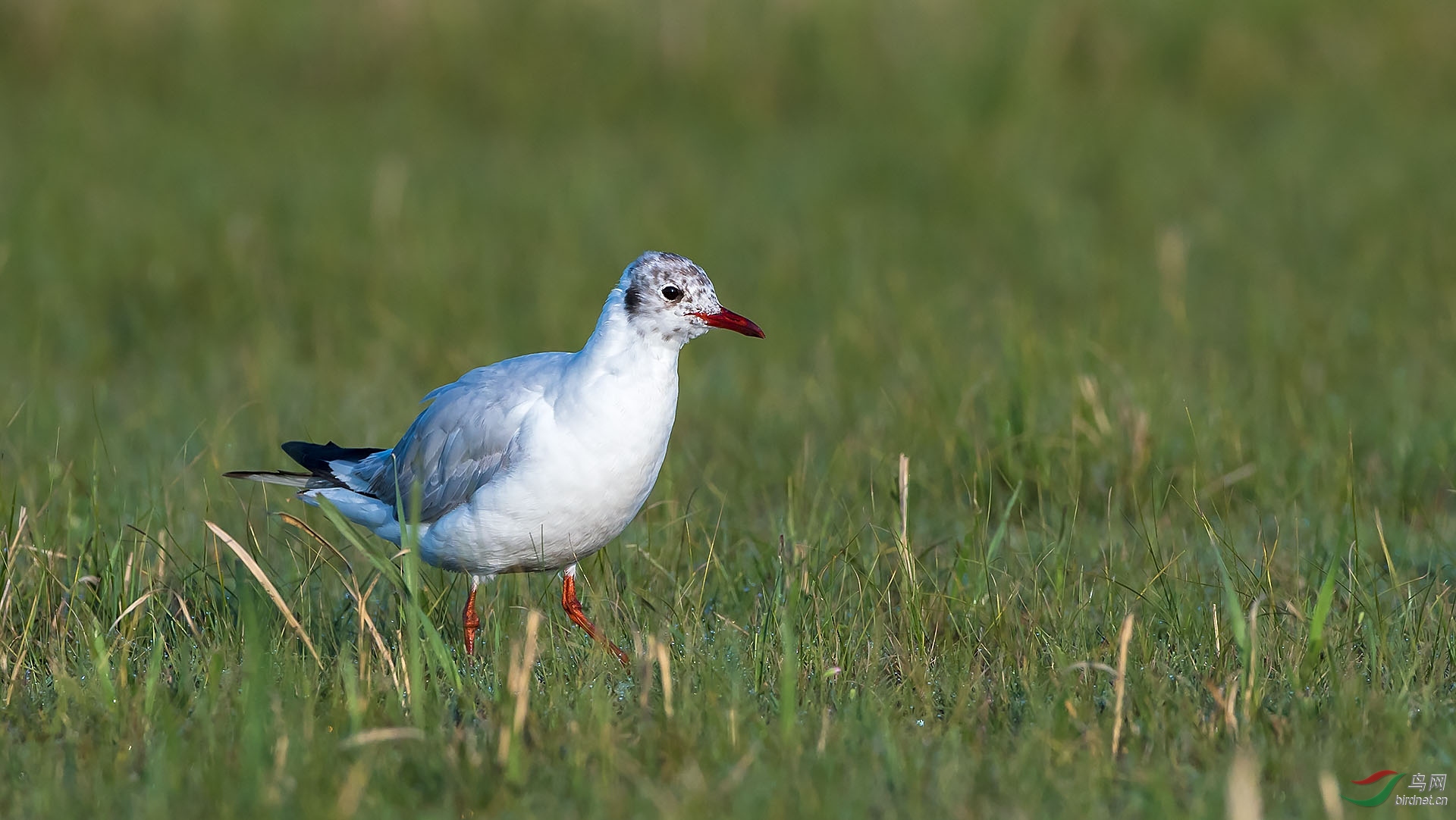 DSC_6490.jpg