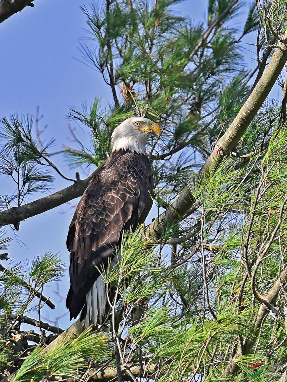 DSC_8567----.jpg
