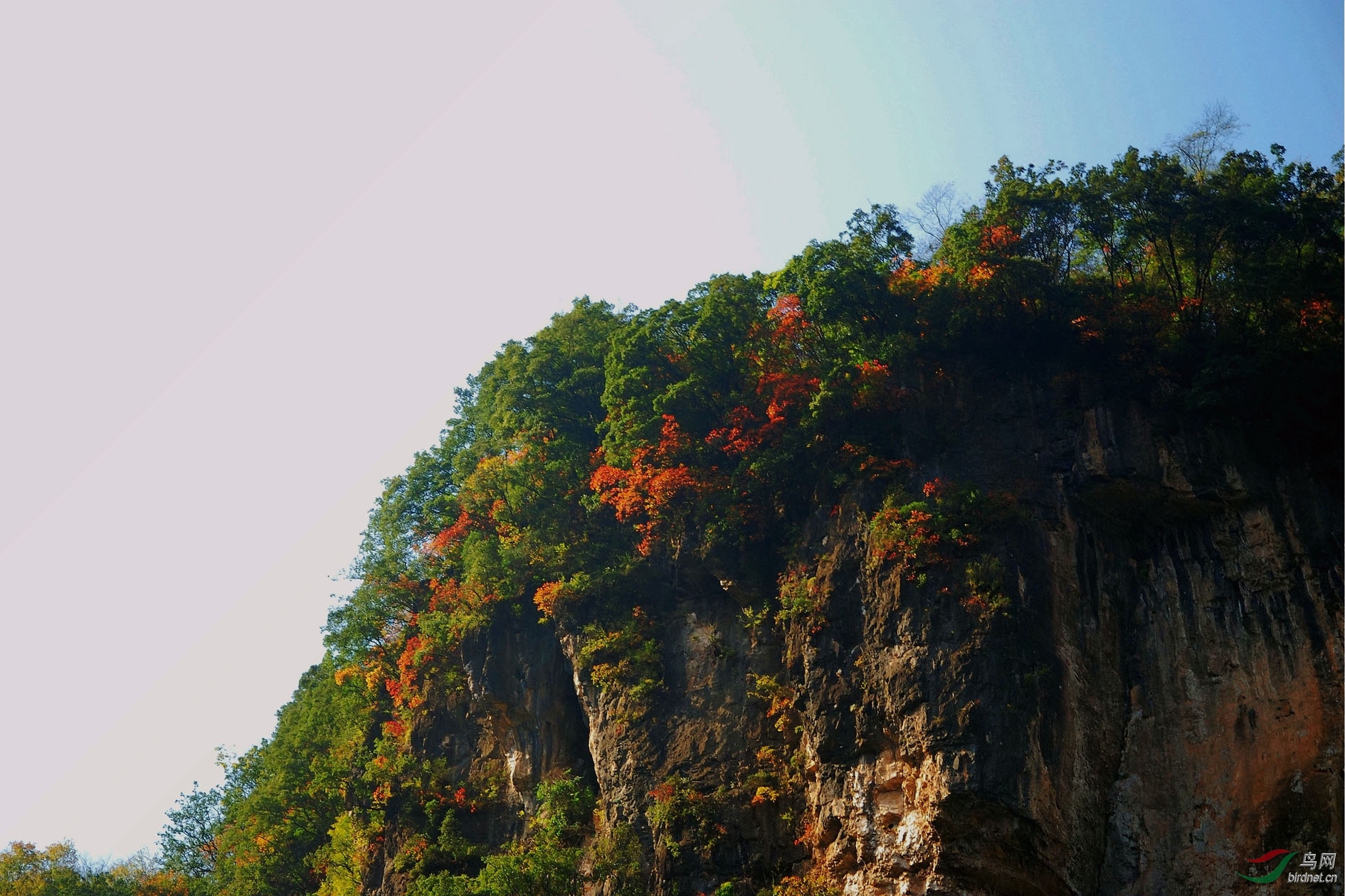 DSC_1167.JPG