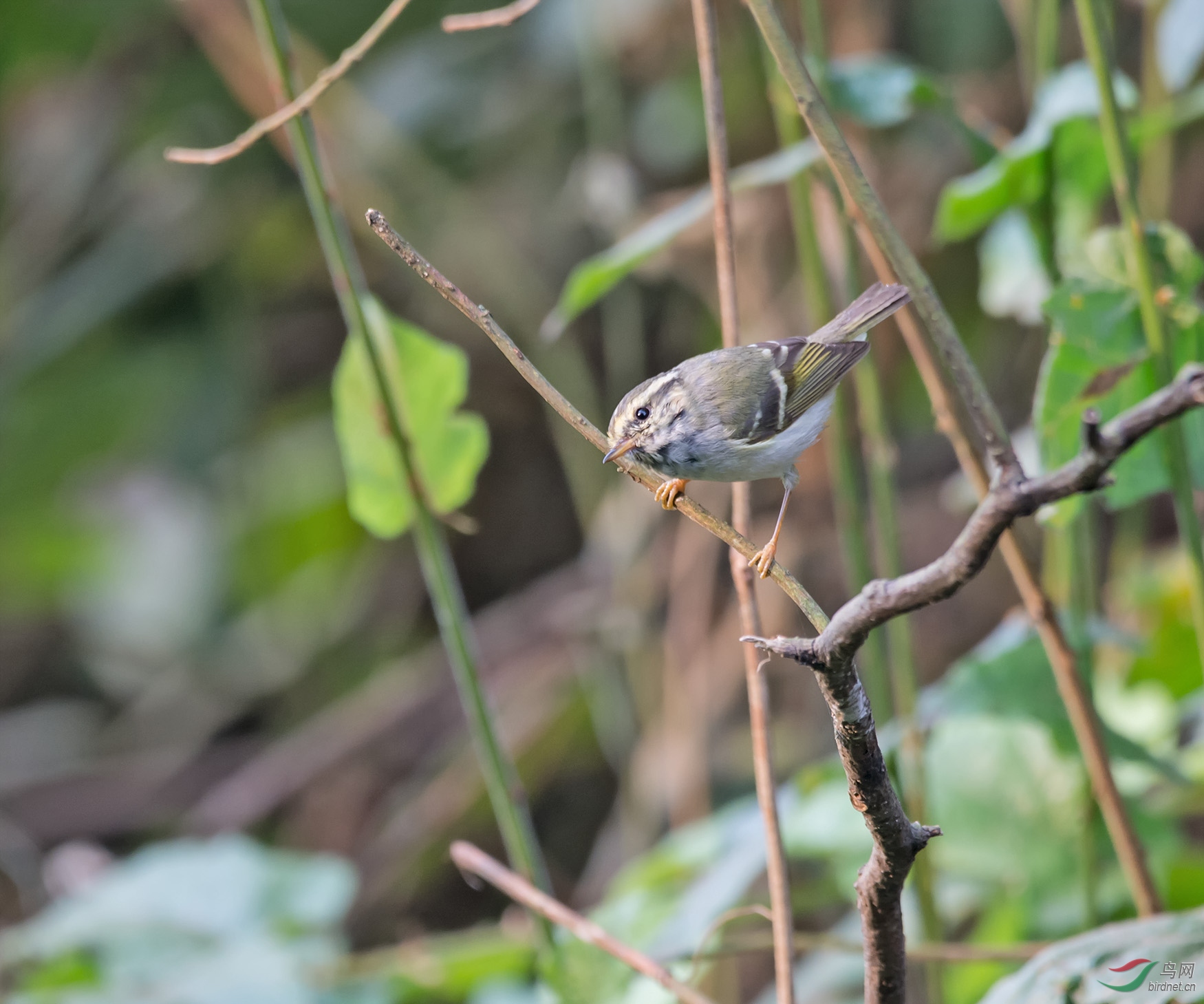 DSC_5614.jpg