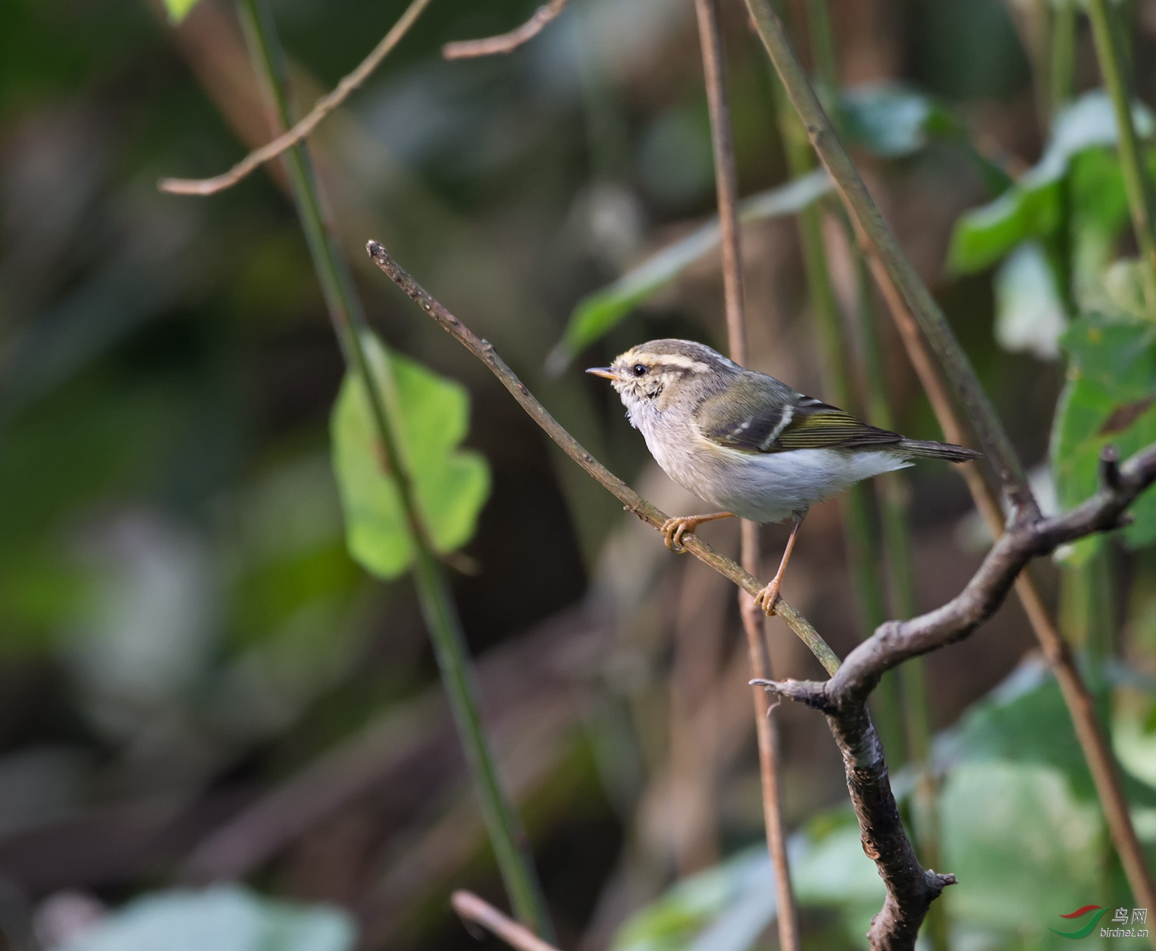DSC_5606.jpg