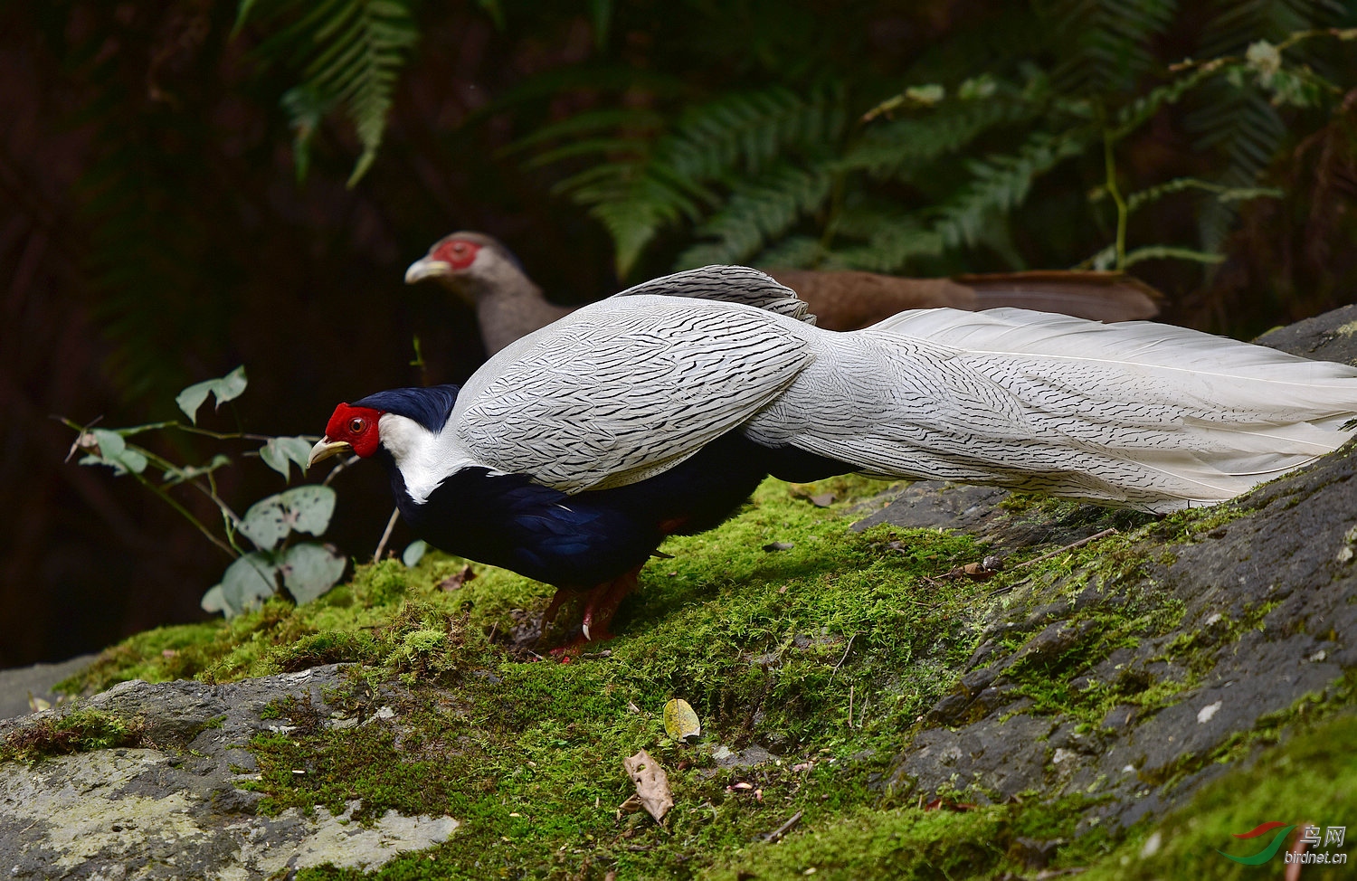 D8I_0849.jpg
