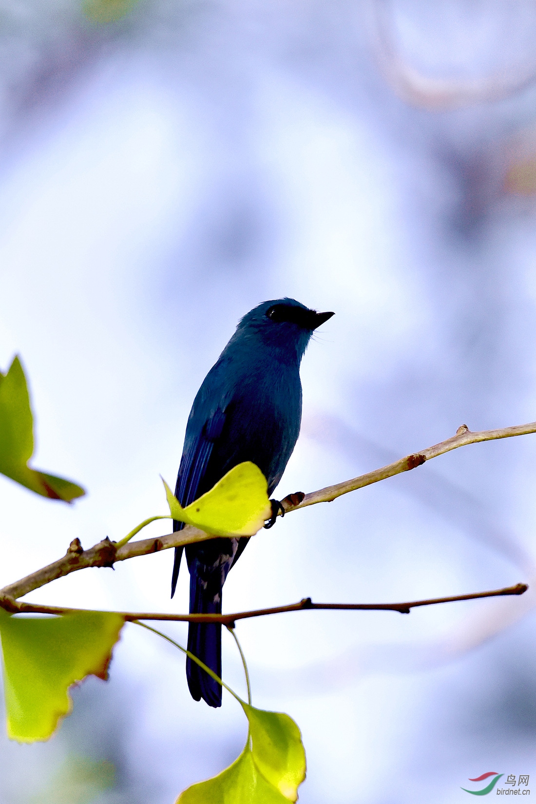 DSC_0231.JPG
