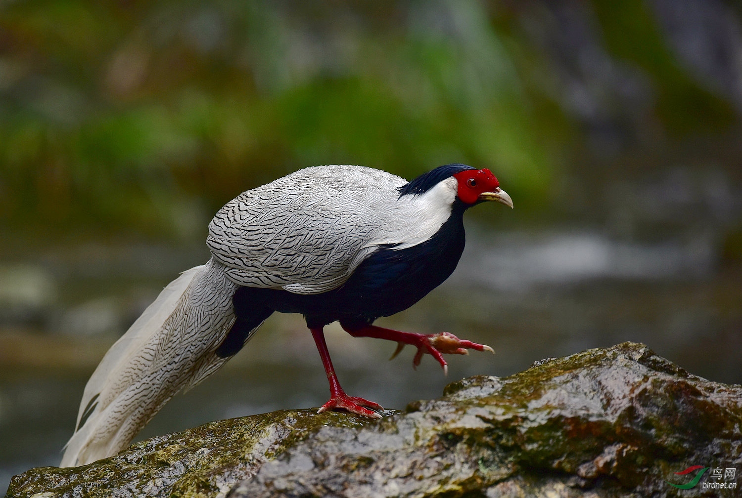 D8I_3990.jpg