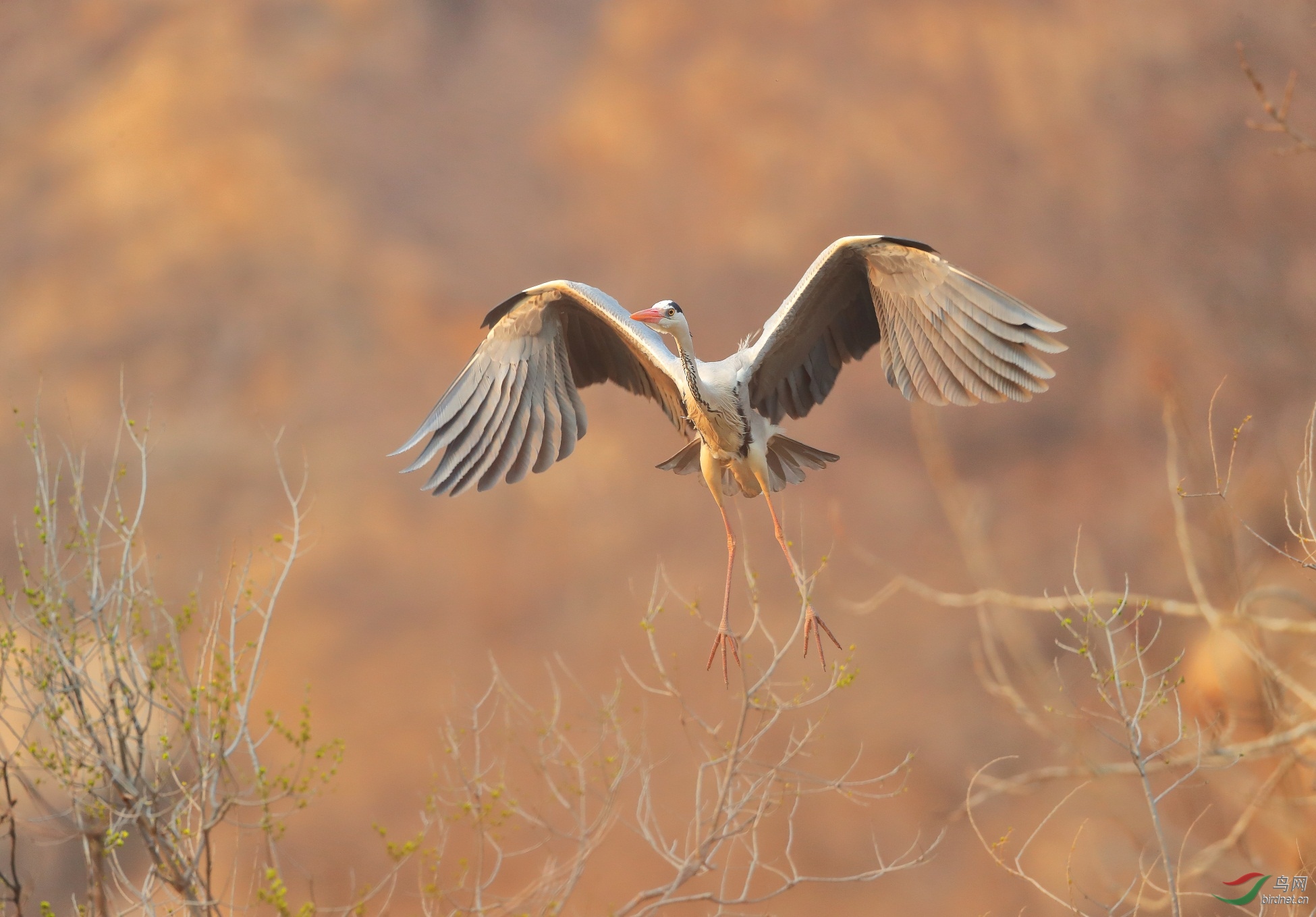 2 - ����.JPG