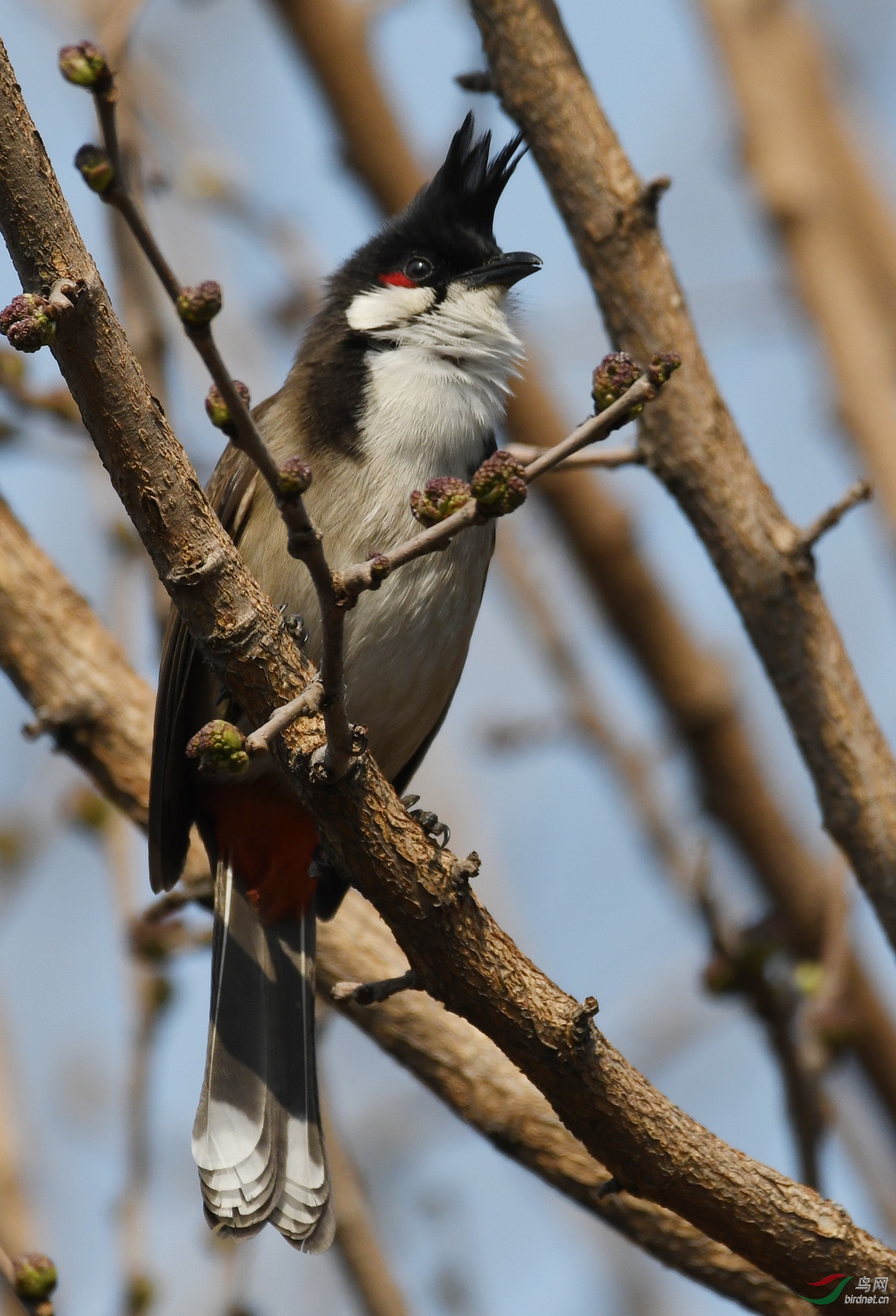 ������Ӱ 1409����.jpg