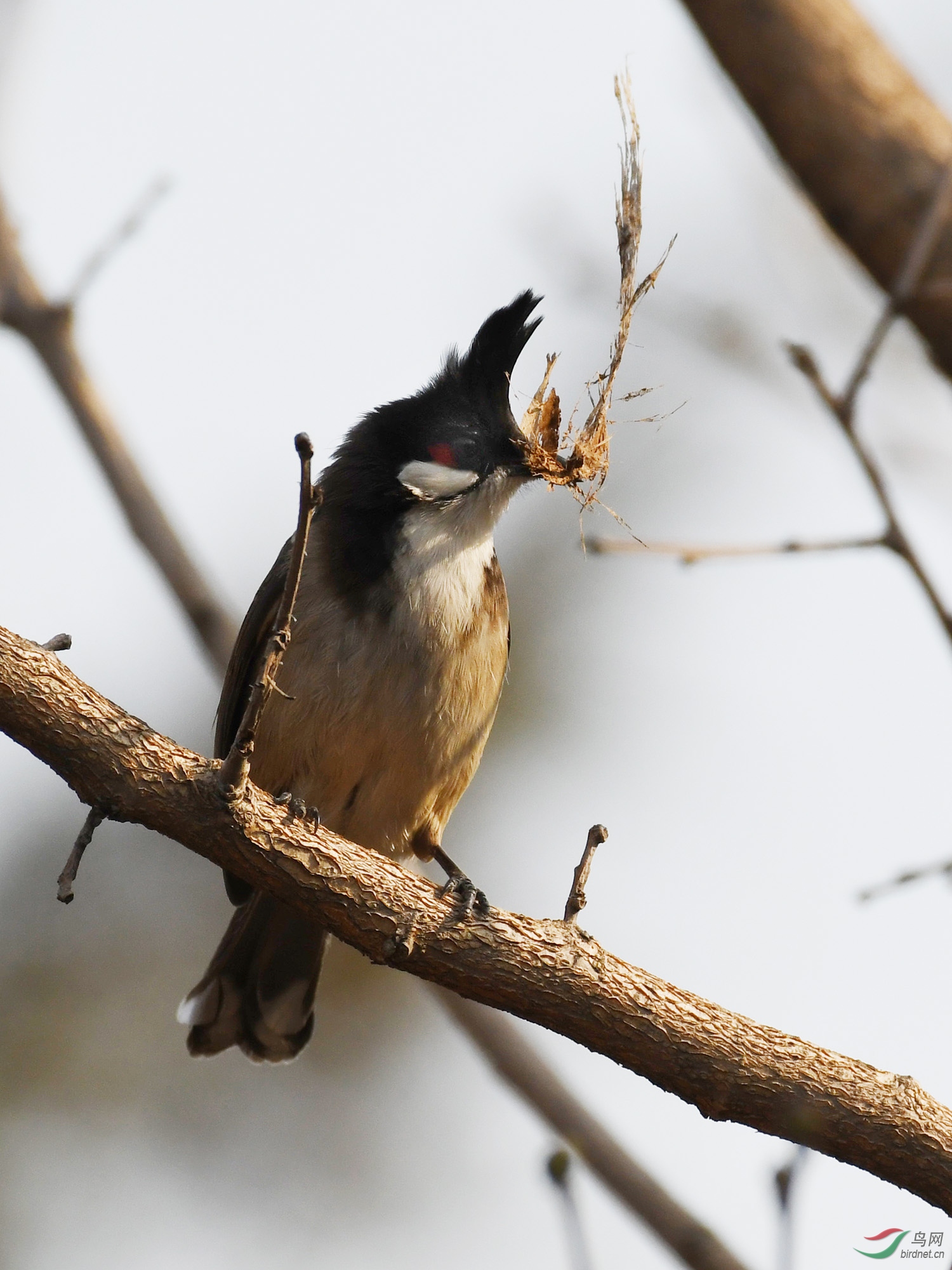 ������Ӱ 1234����.jpg