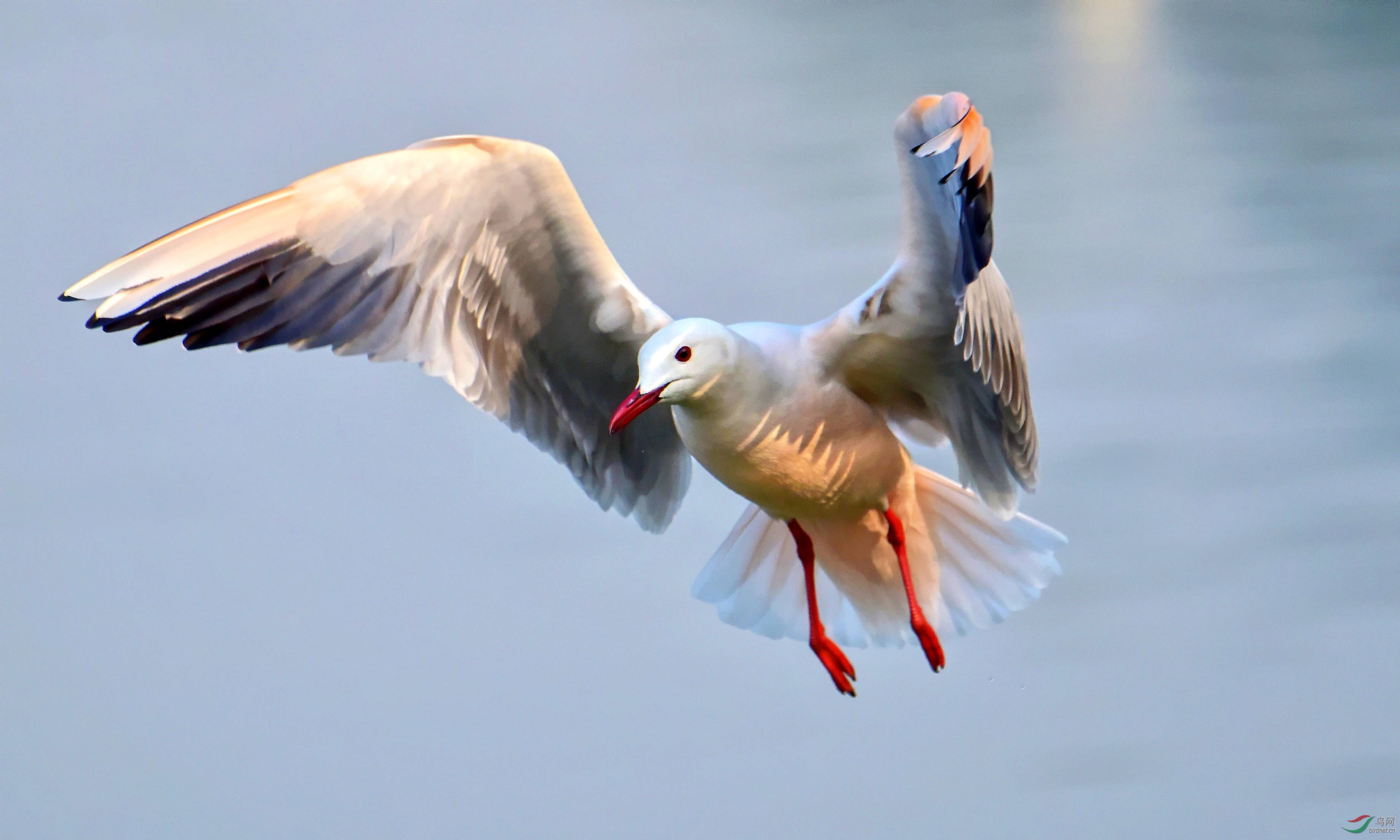 DSC_6259_conew2.jpg