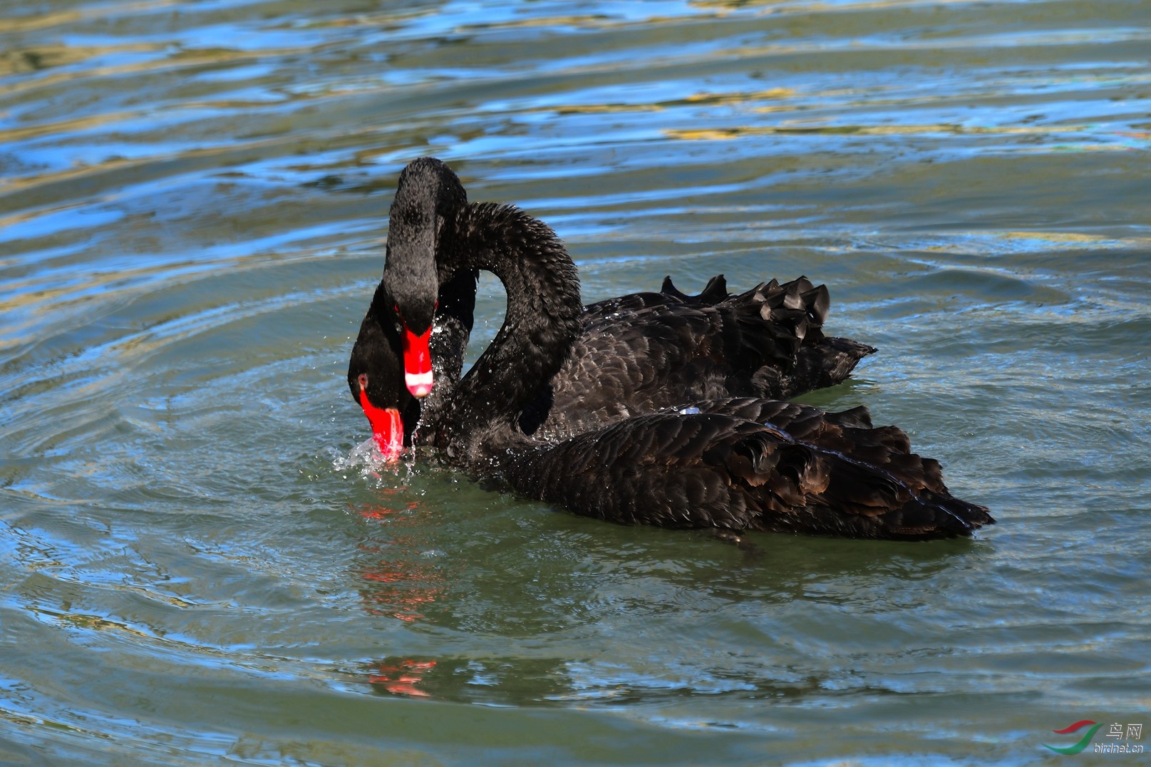 DSC_3636.JPG