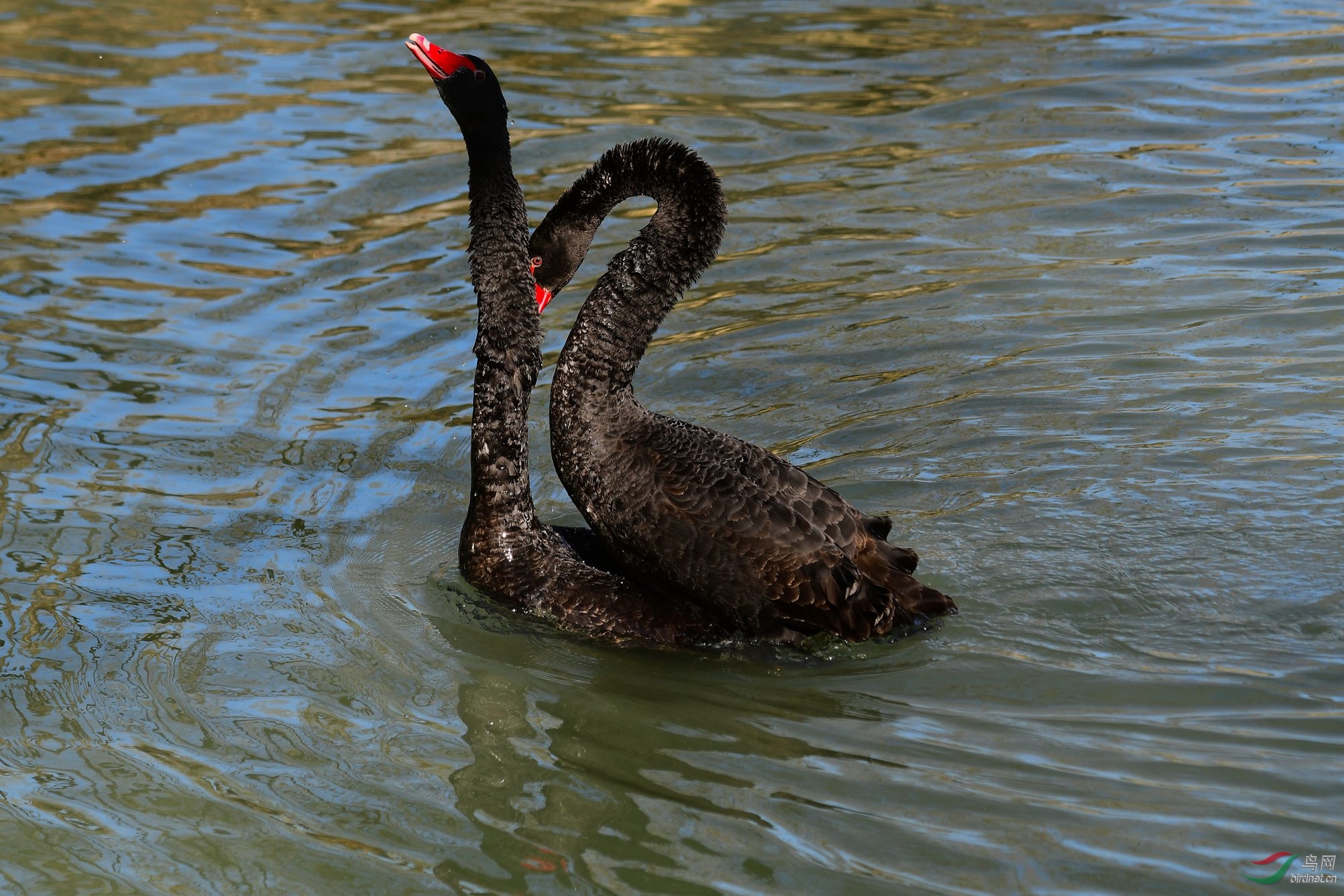 DSC_3647.JPG