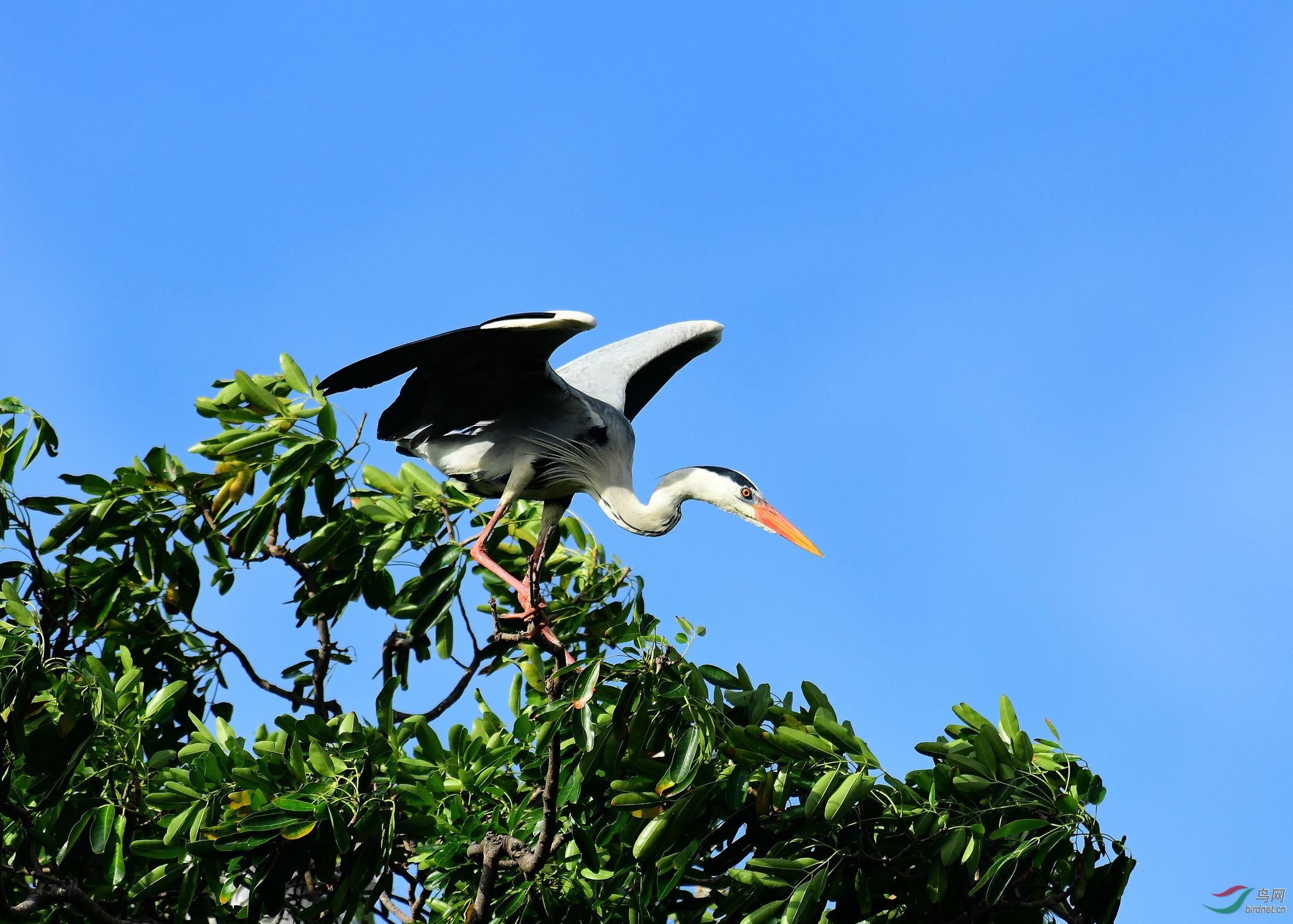 DSC_0871.JPG