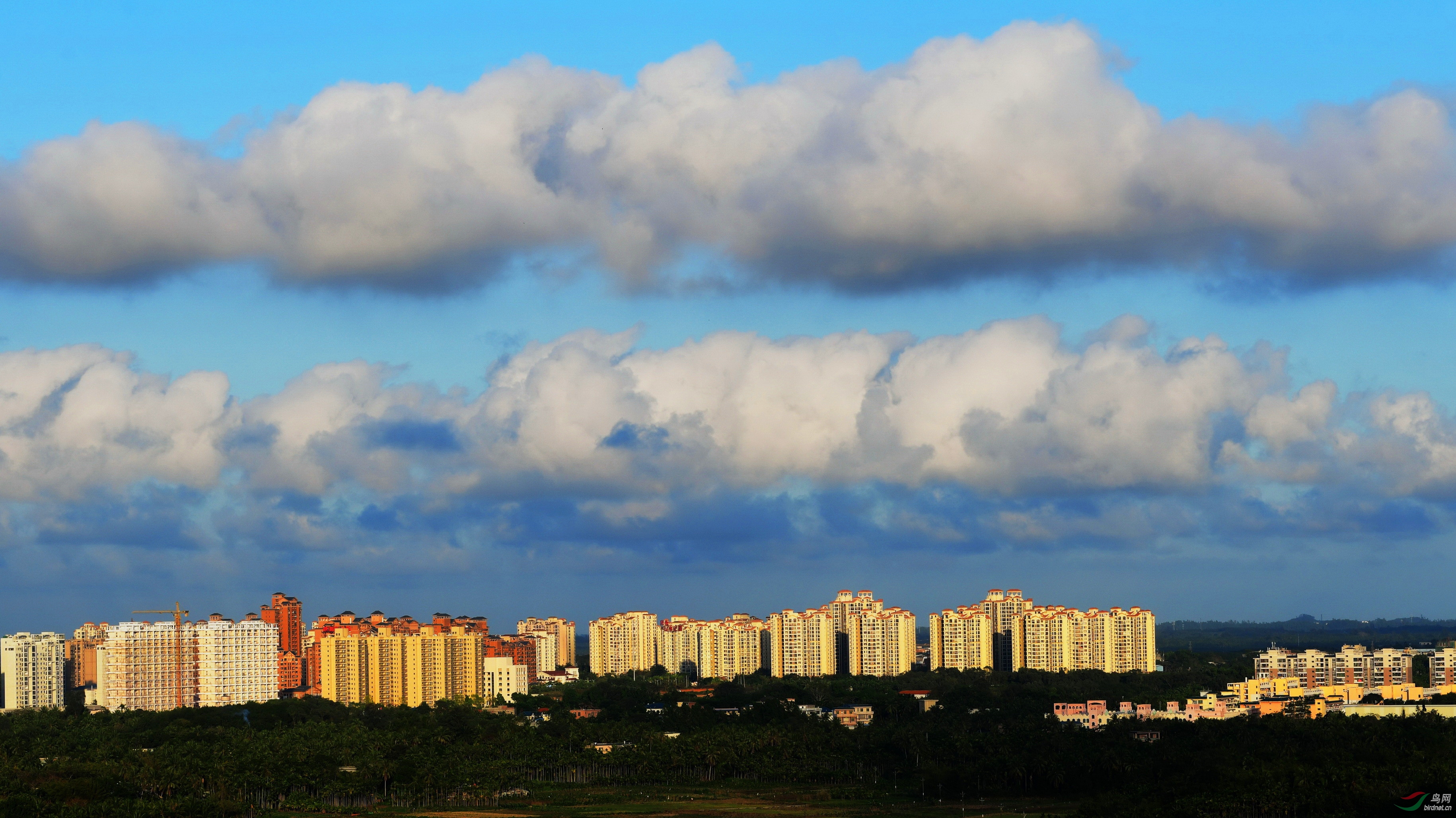 05.jpg