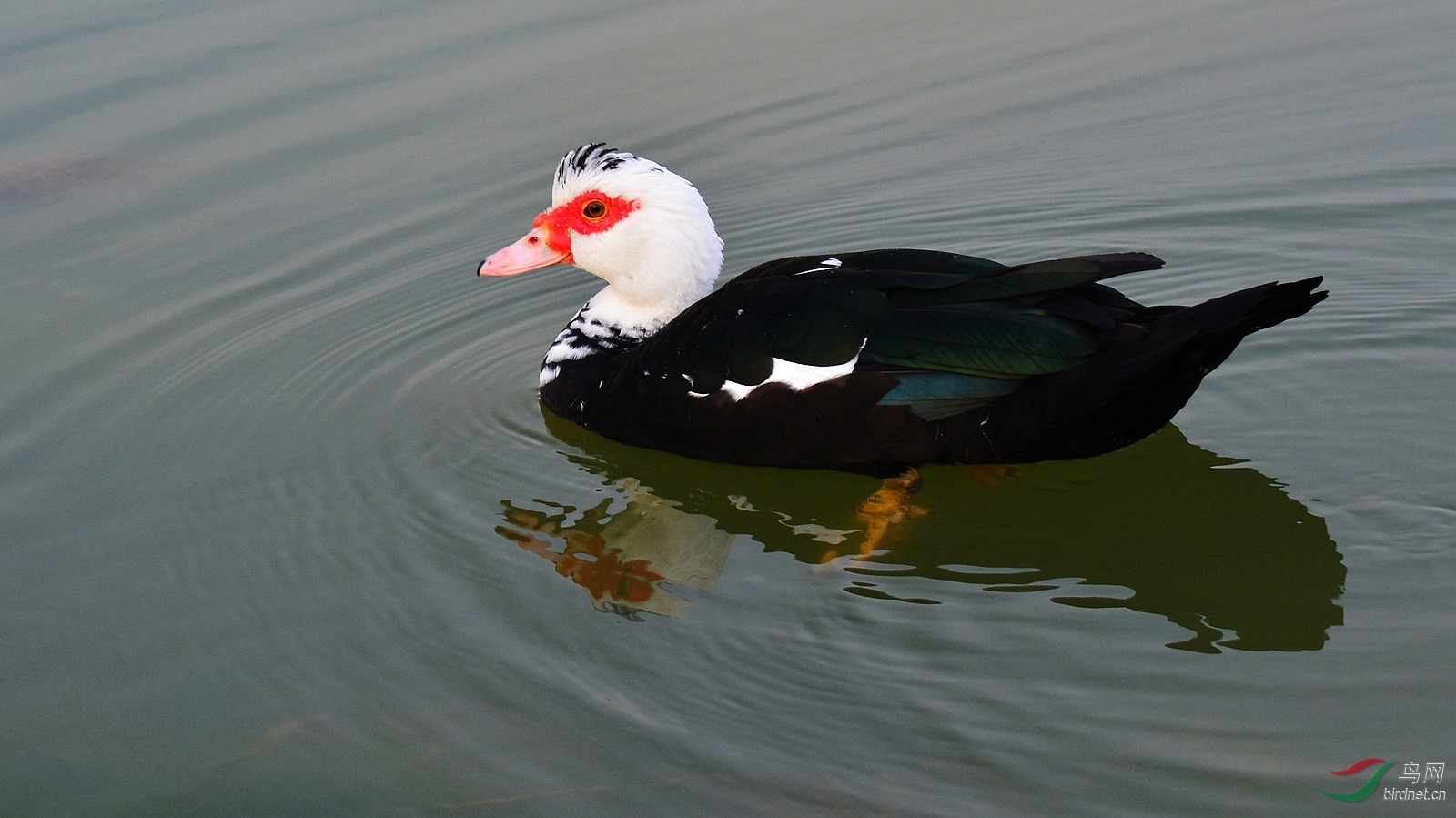 DSC_4072.JPG