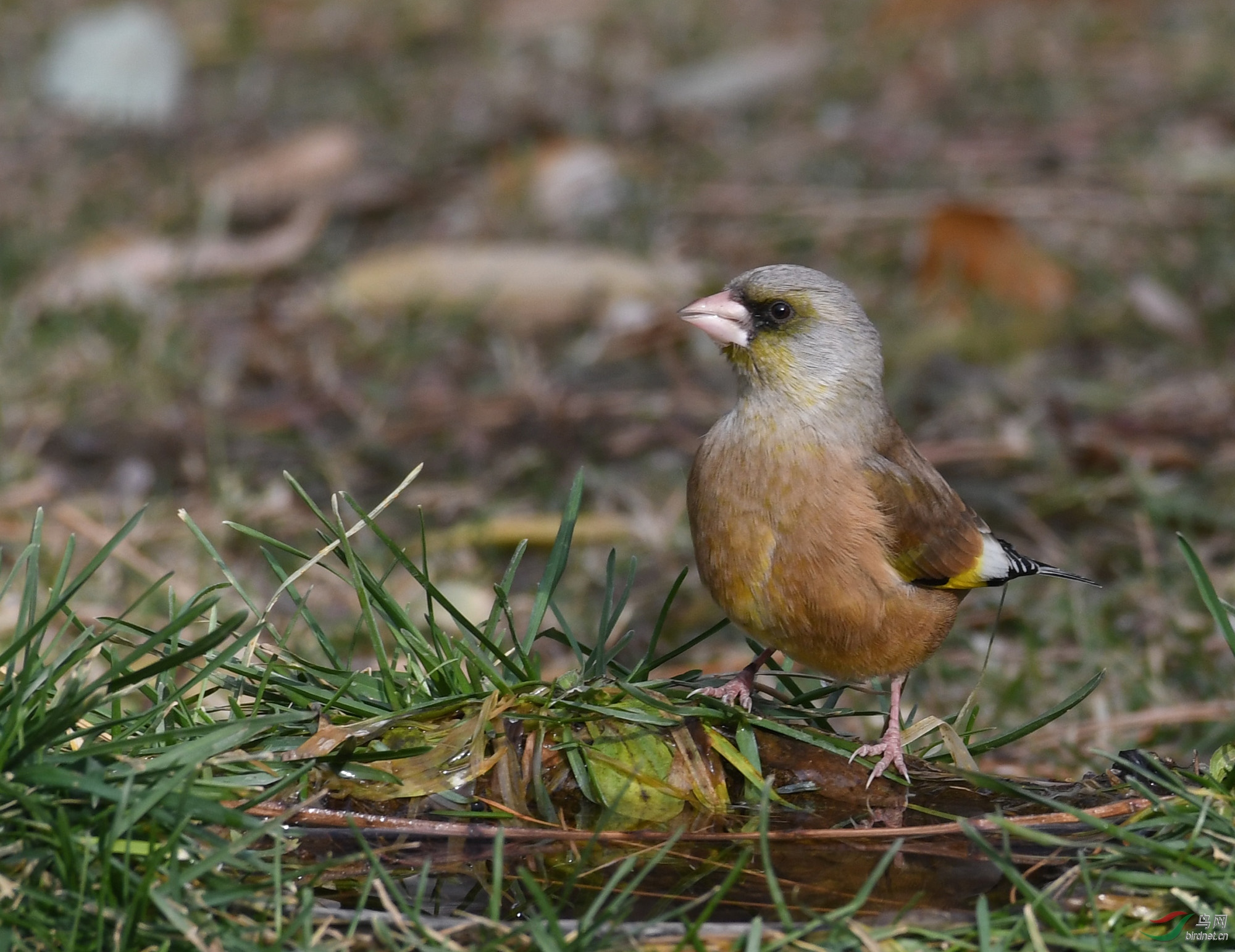 ������Ӱ 1060����.jpg