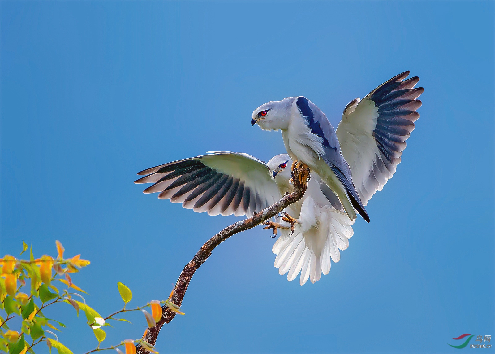 094829peuqeveiepum9948 (2)_����_����.jpg