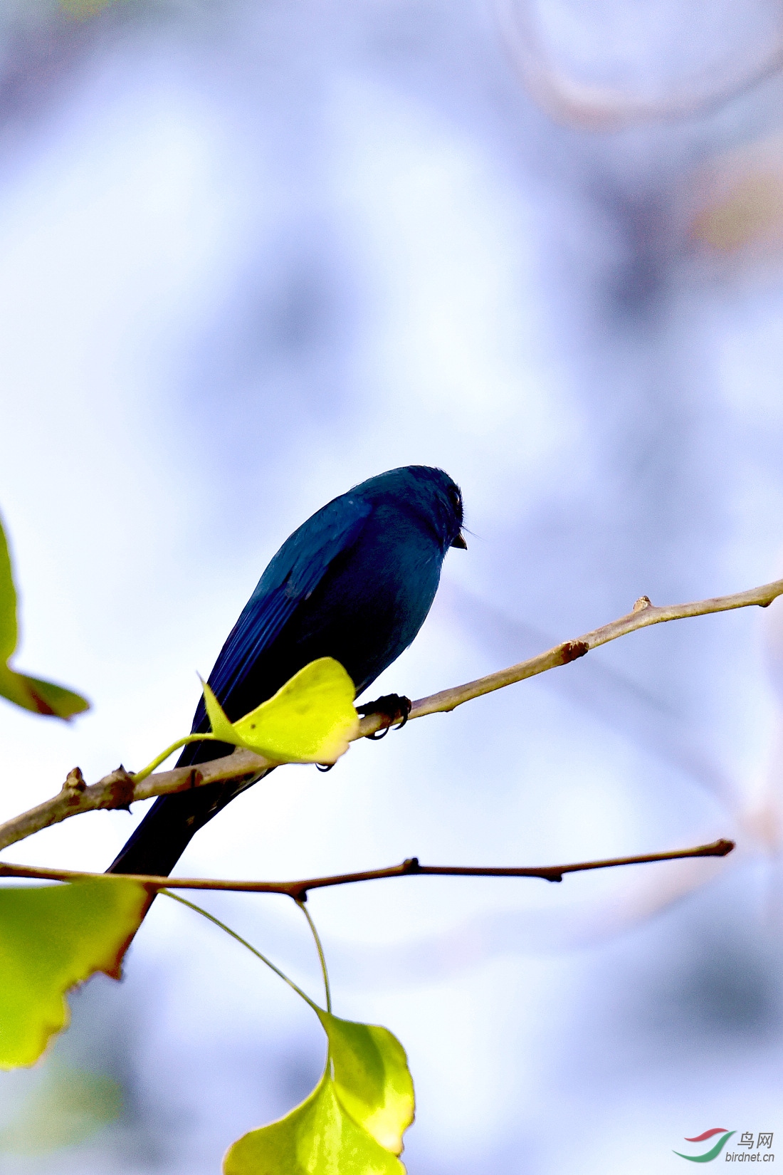 DSC_0246.JPG