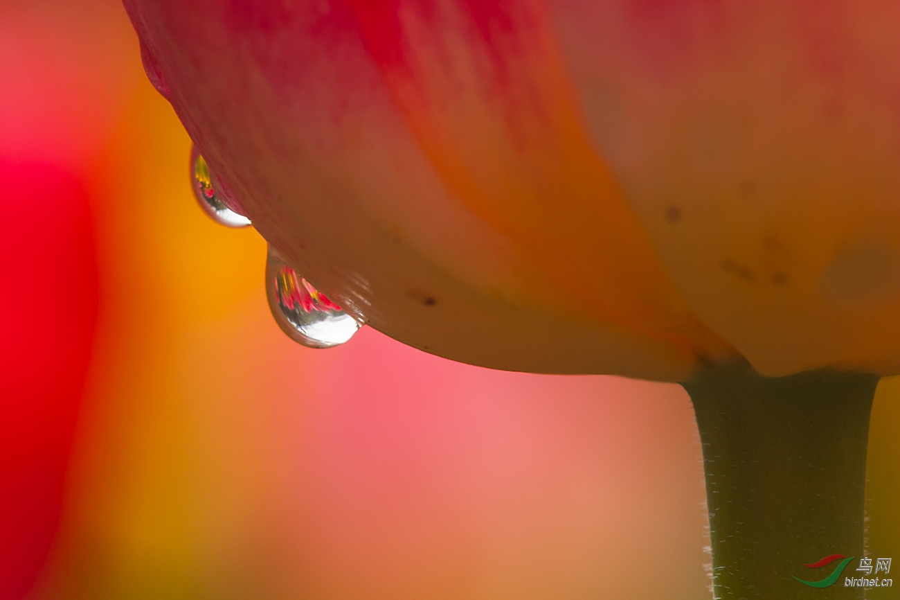 CRW_8644A.jpg