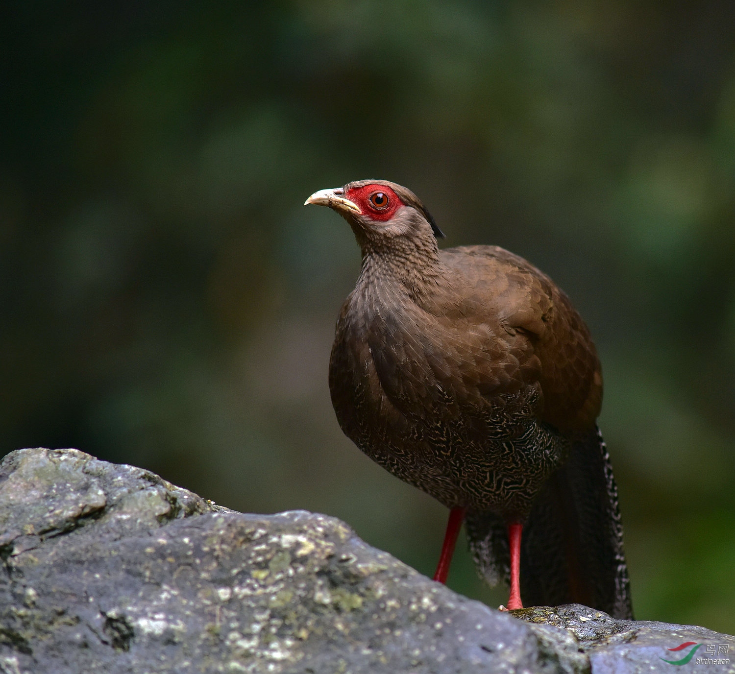 D8I_2751.jpg