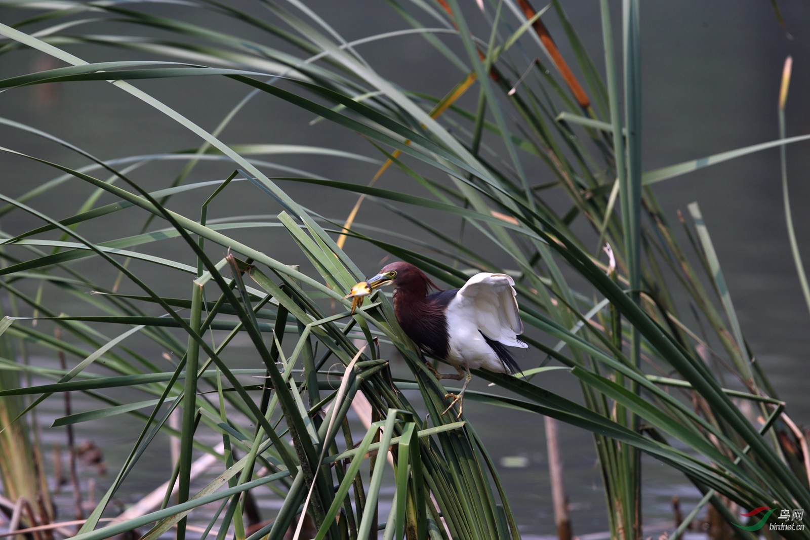 DJ4W2200.JPG