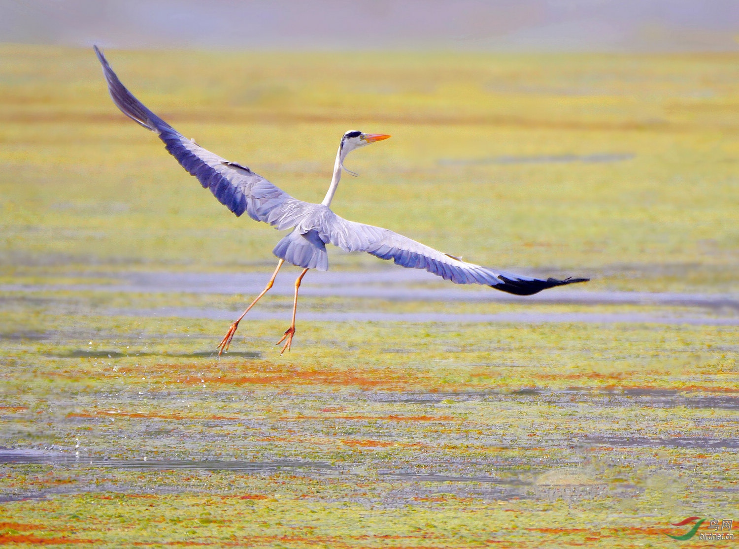 202023.��������Ц����