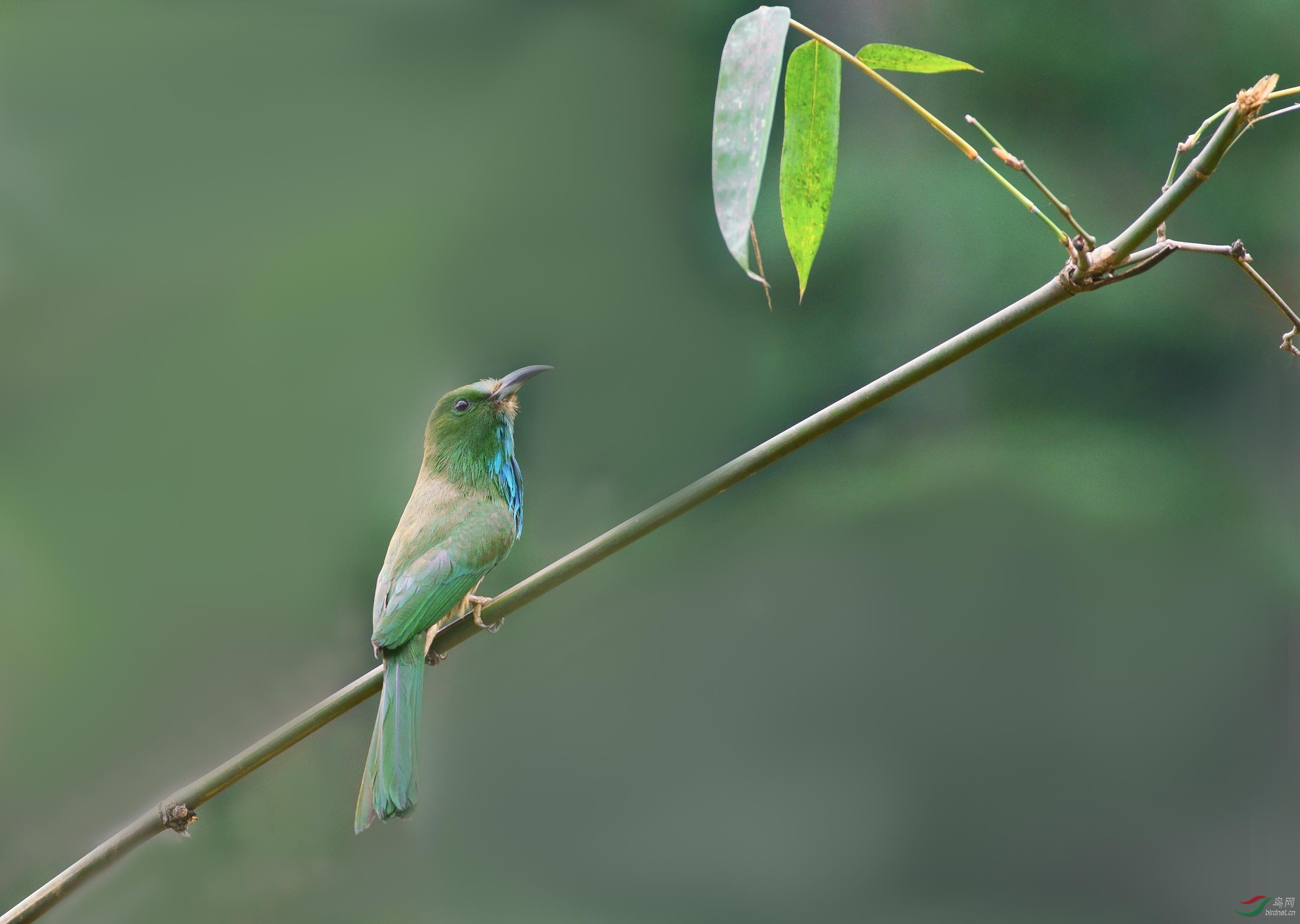 20190516-DSC04583.jpg