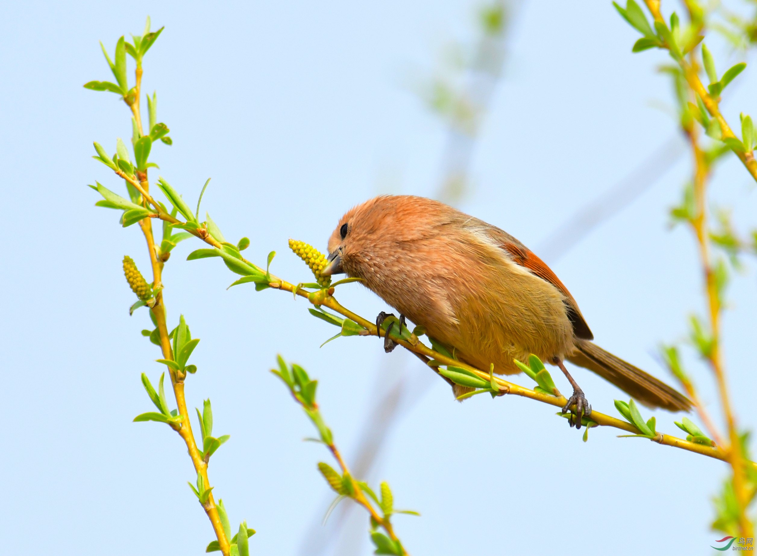 DSC_6901.JPG