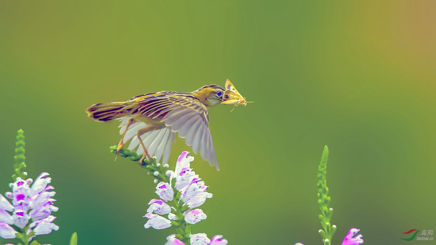 DSC_5400 (2)_����_����_����_����_����_����_����_����_����.jpg