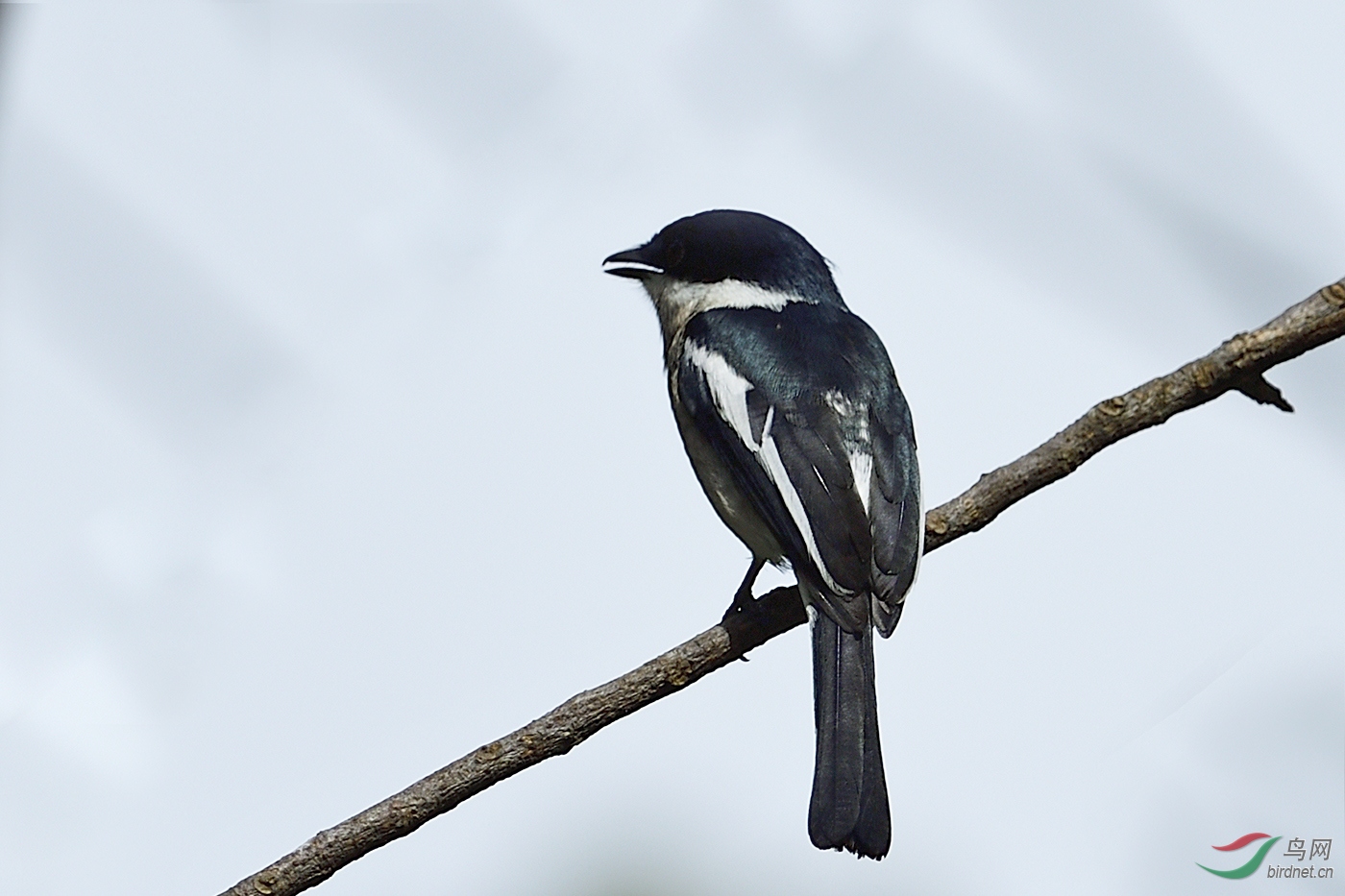 _DSC5833_20169a.jpg