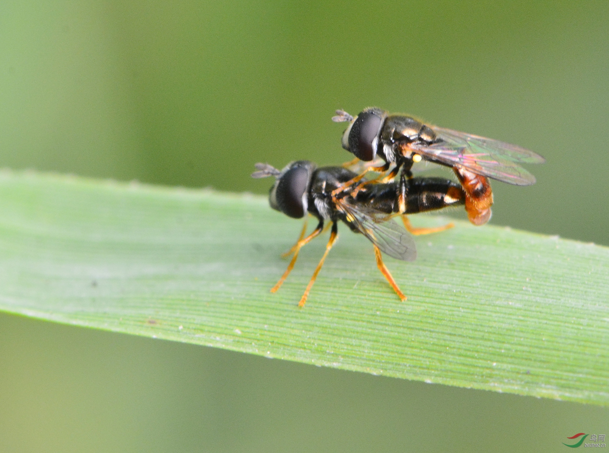 ������Ӱ 105����.jpg