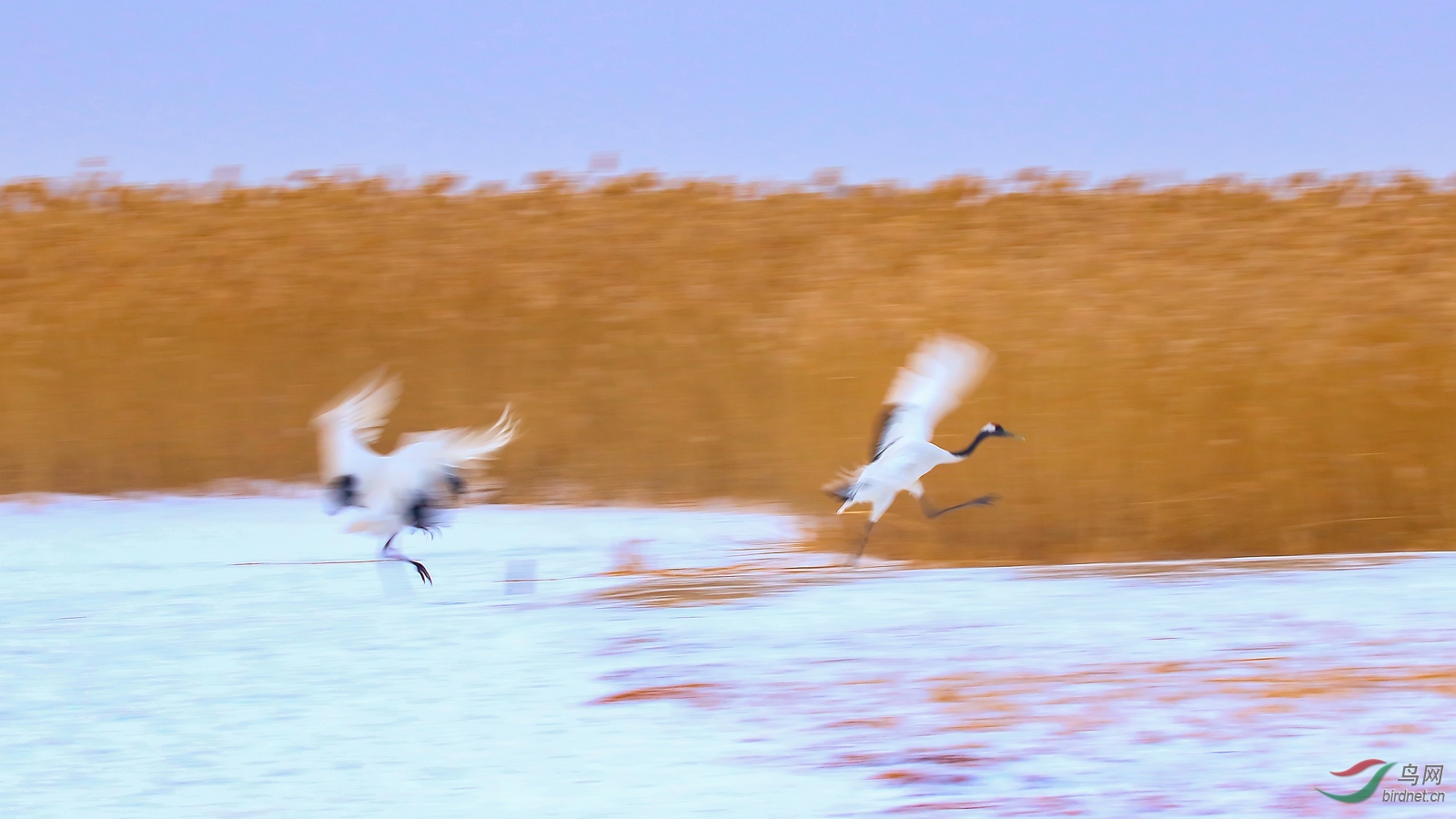 ����֮��