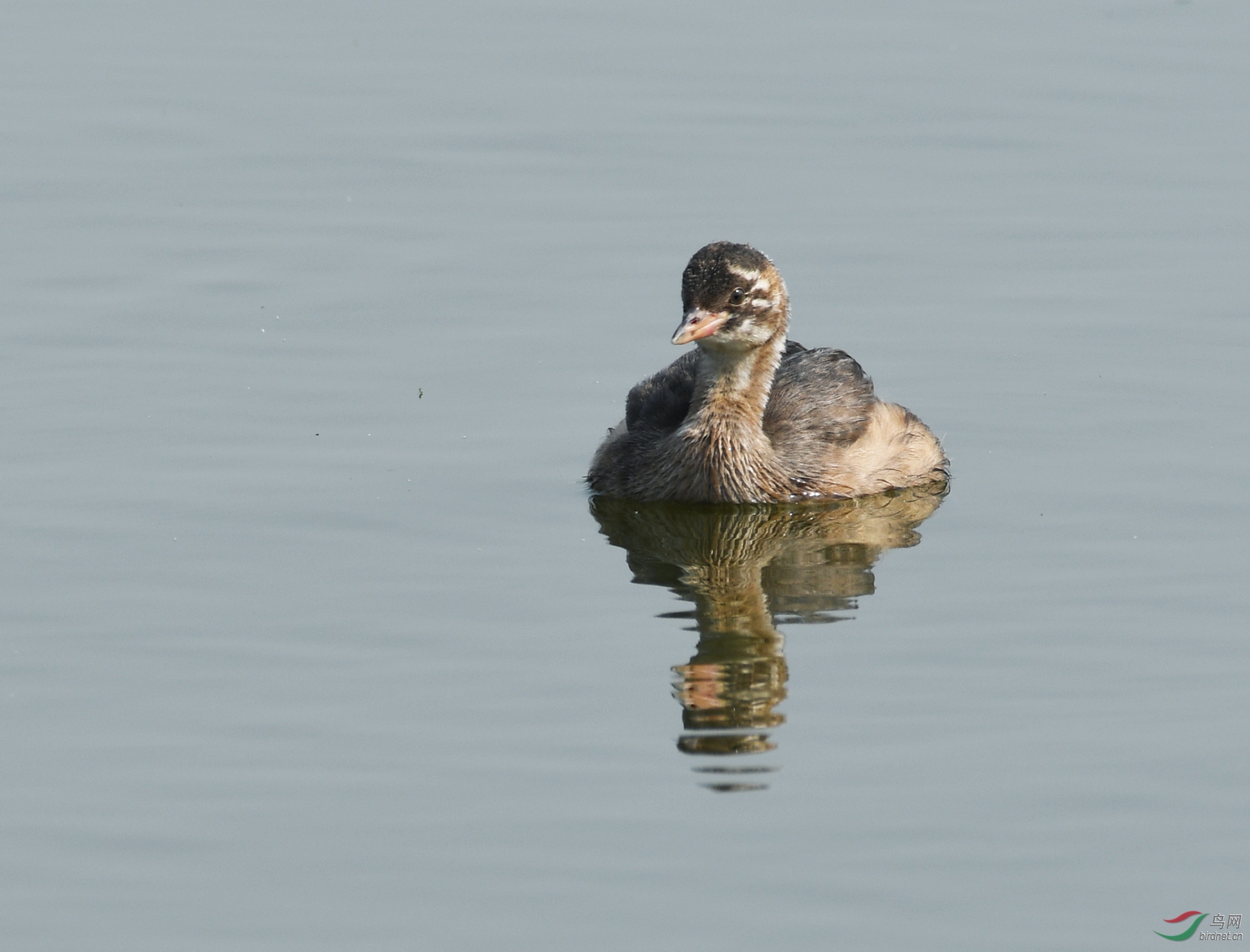 ������Ӱ 426����.jpg