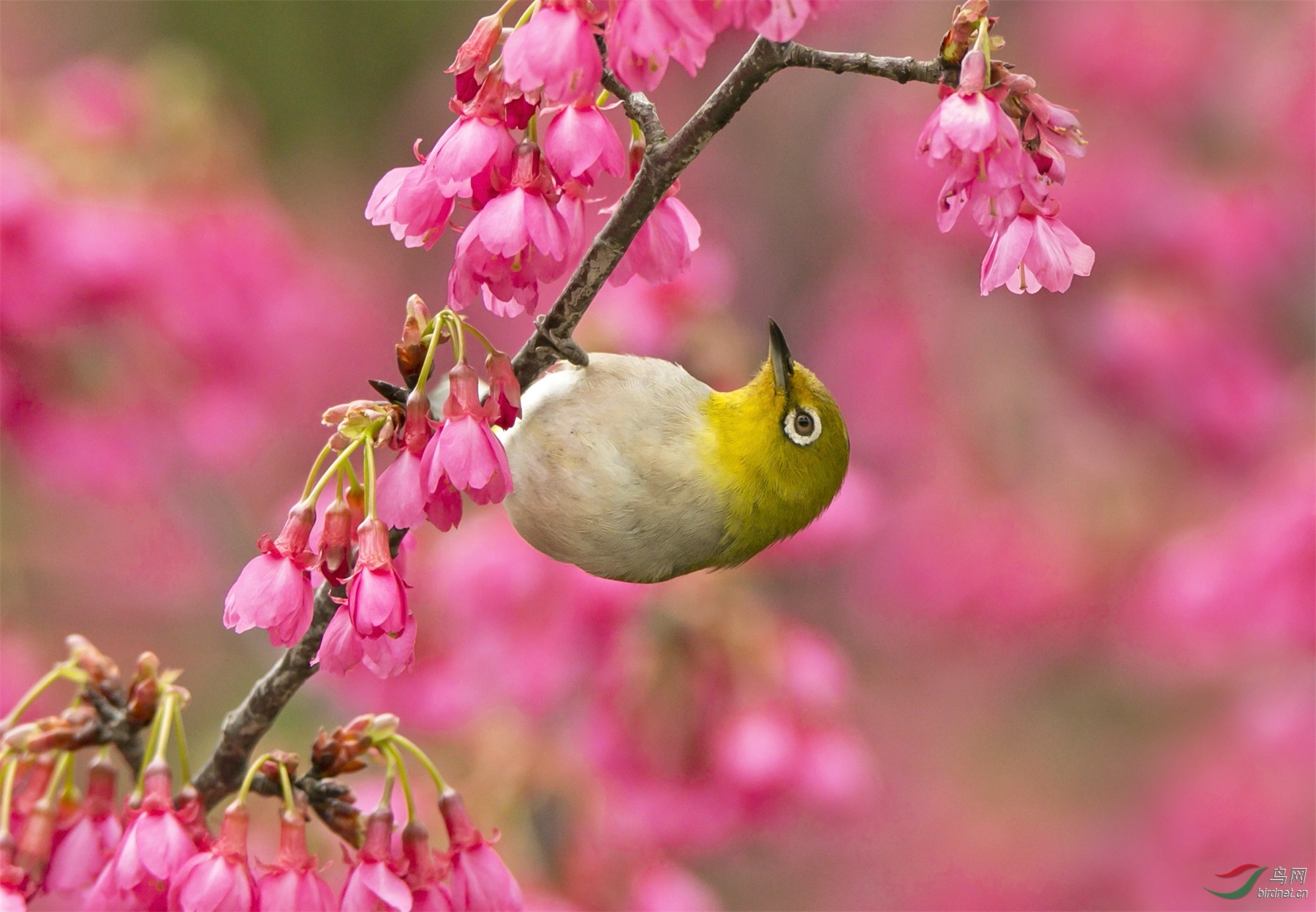 IMG_6559.jpg