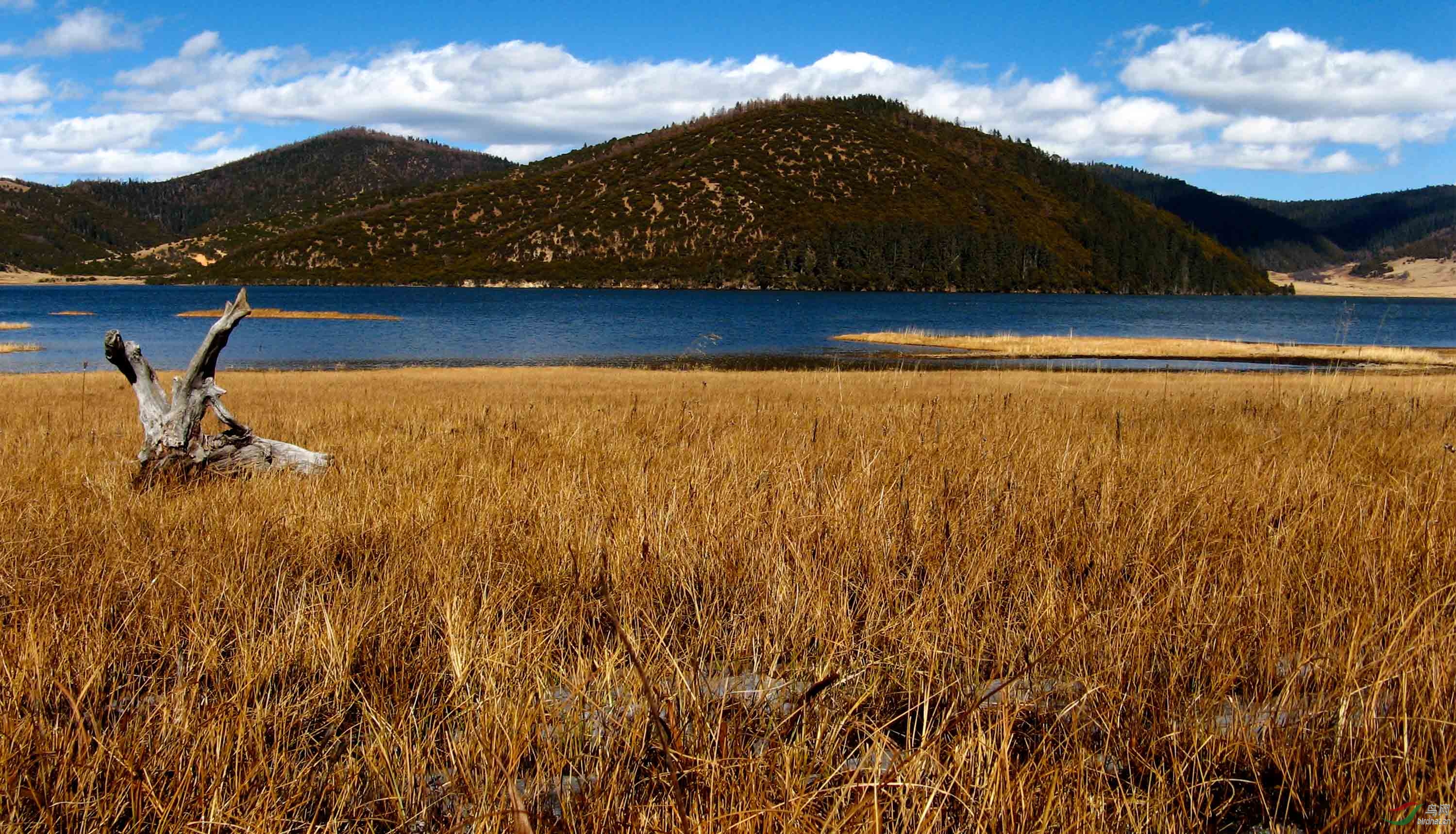 ���϶���