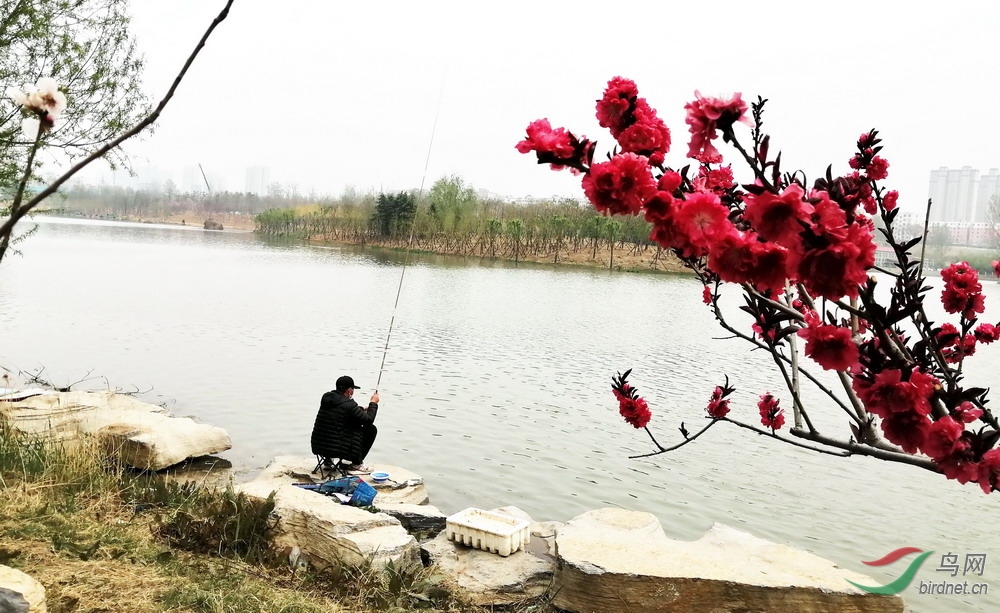 2 - ����.jpg