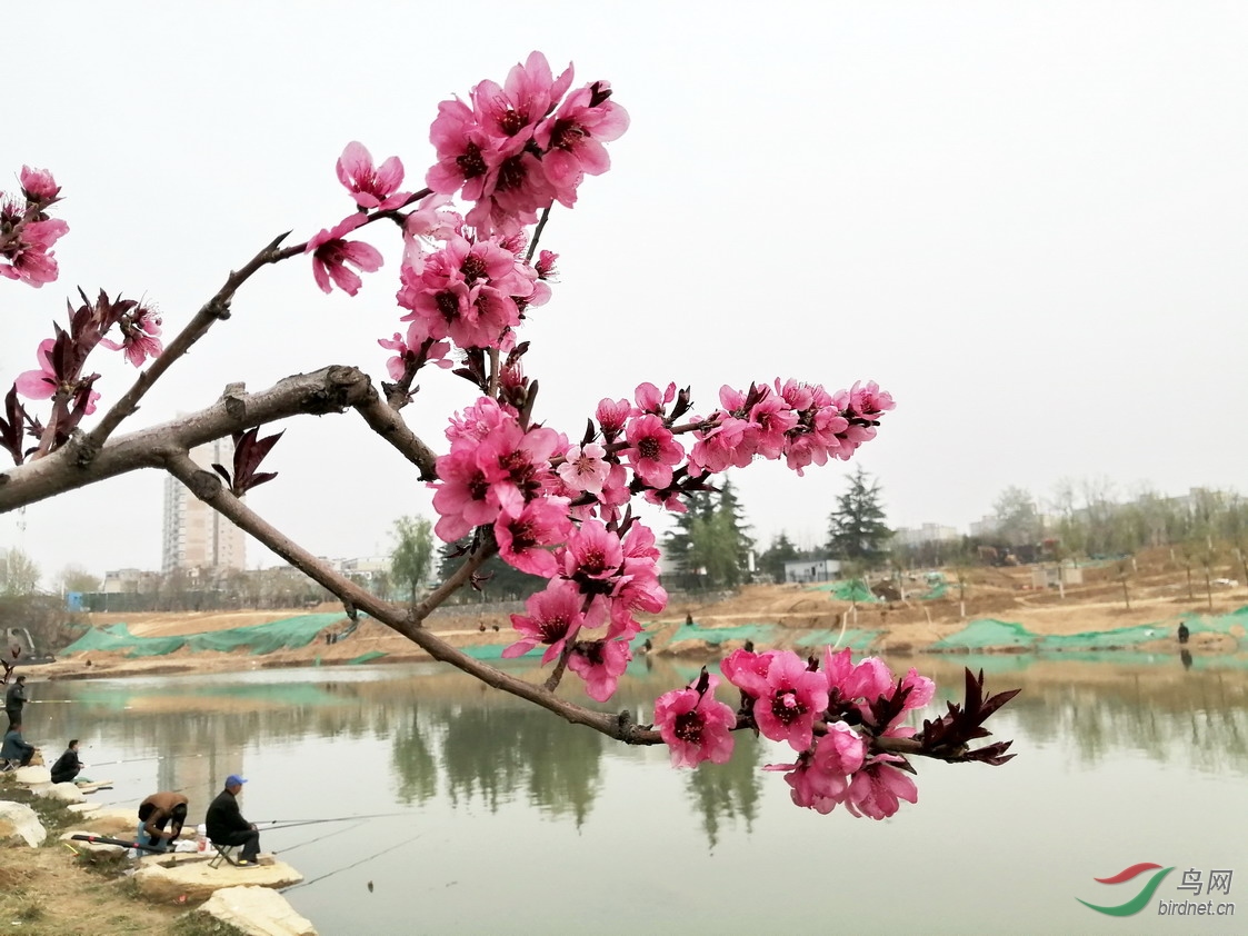 3 - ����.jpg