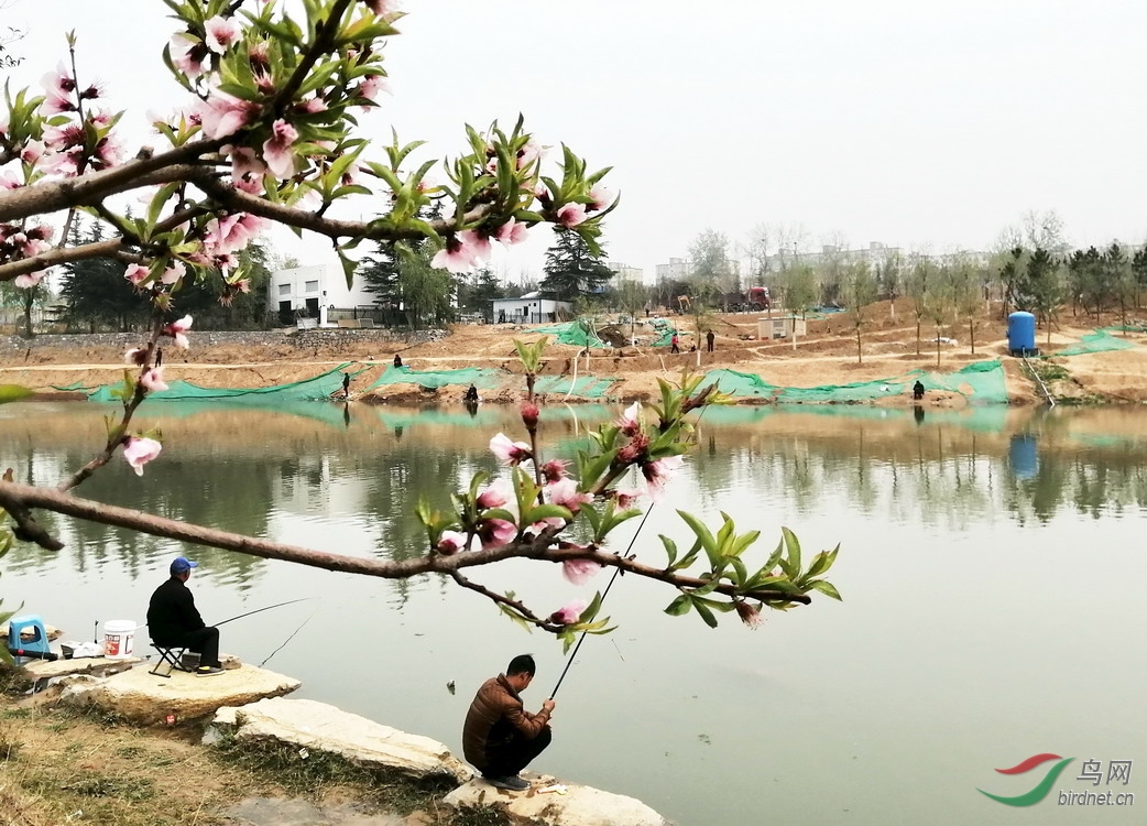 5 - ����.jpg