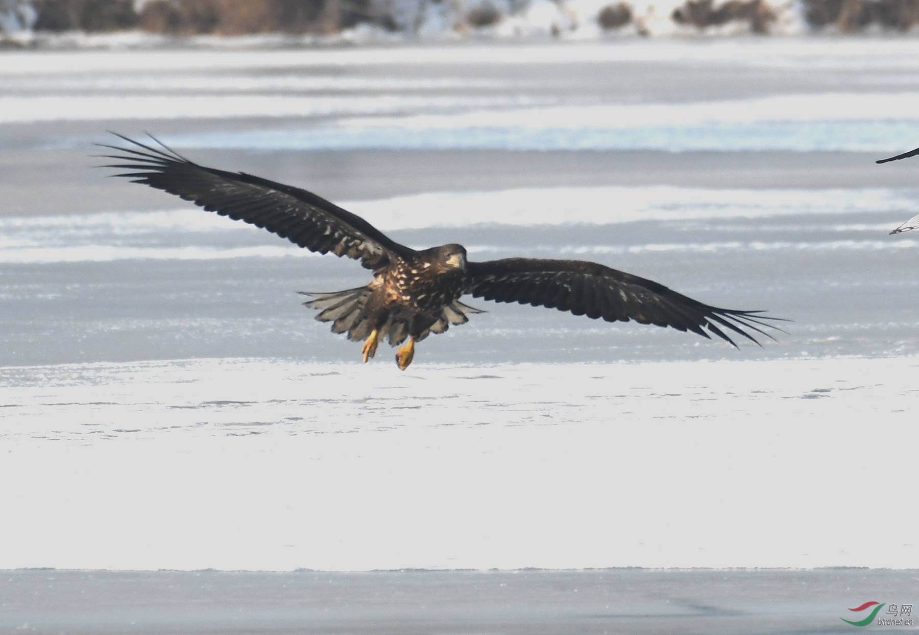 ������Ӱ 211����.jpg