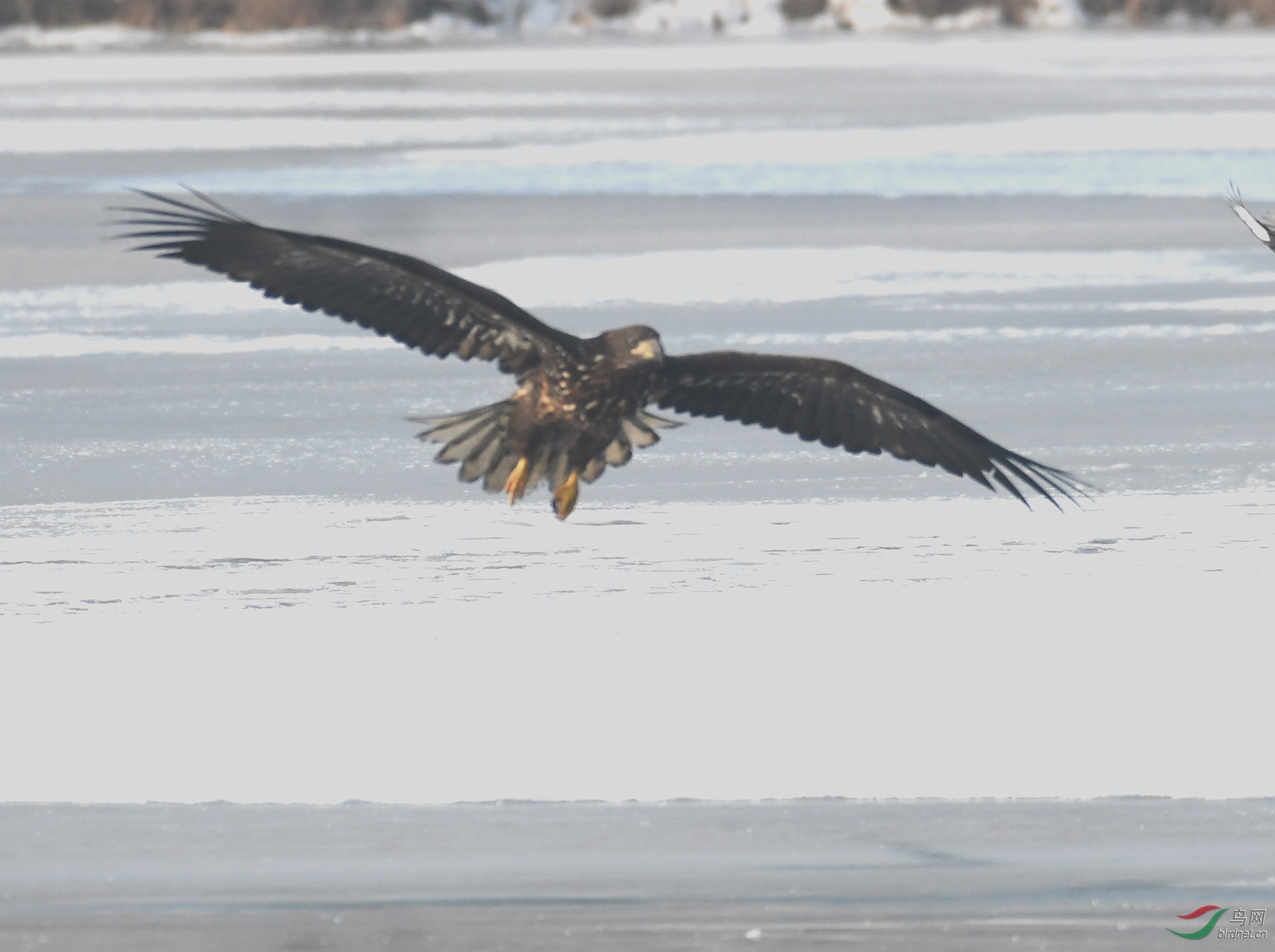 ������Ӱ 212����.jpg