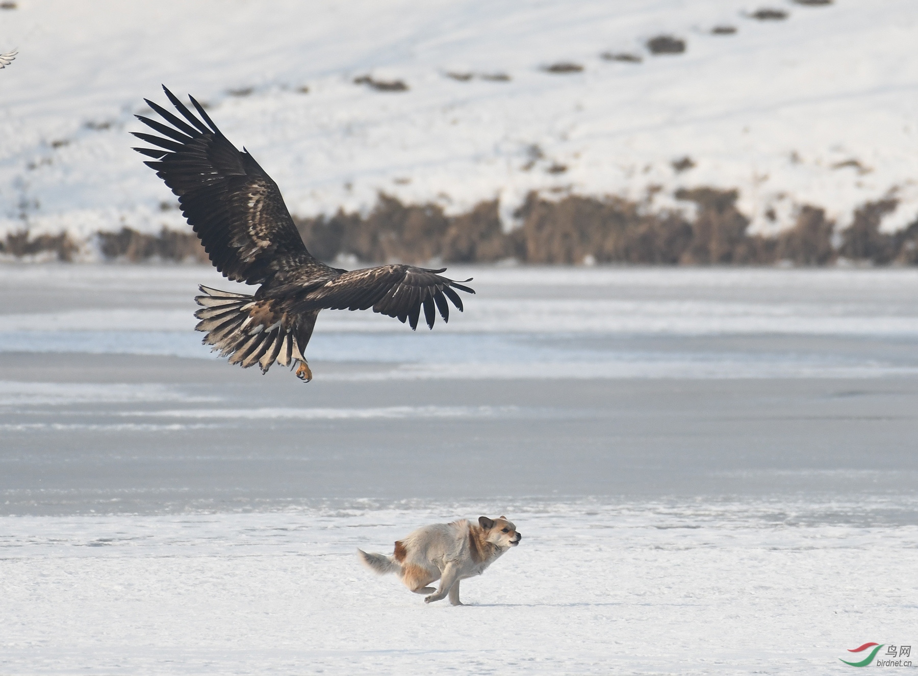 ������Ӱ 242����.jpg