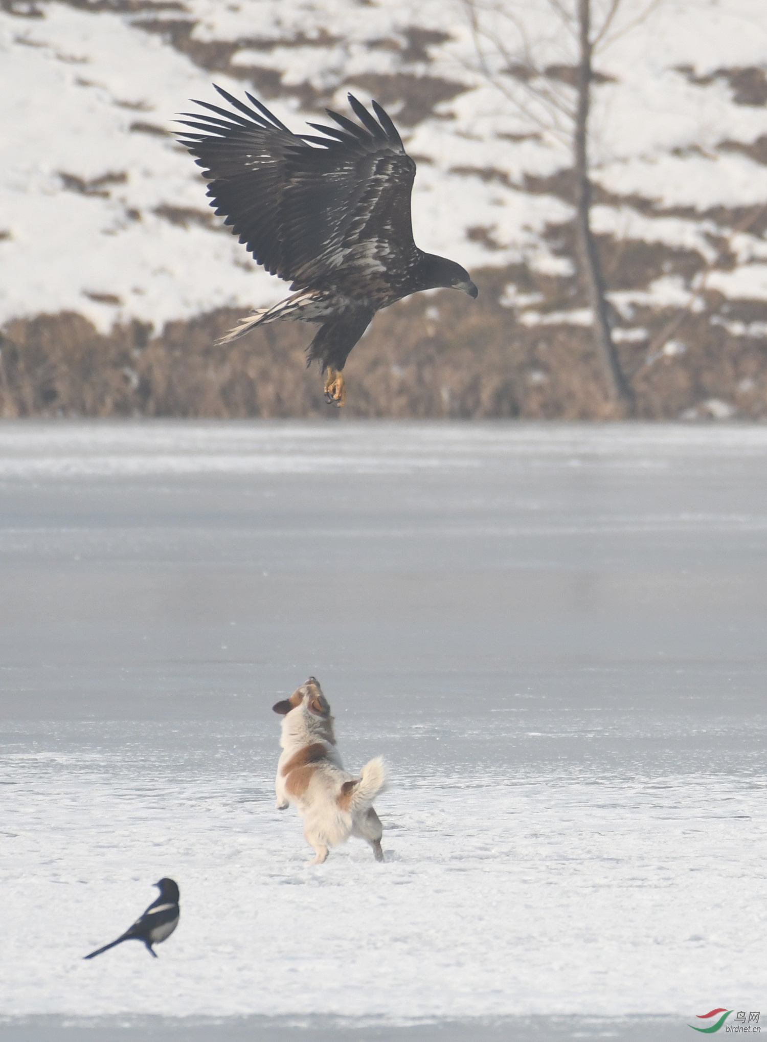 ������Ӱ 249����.jpg