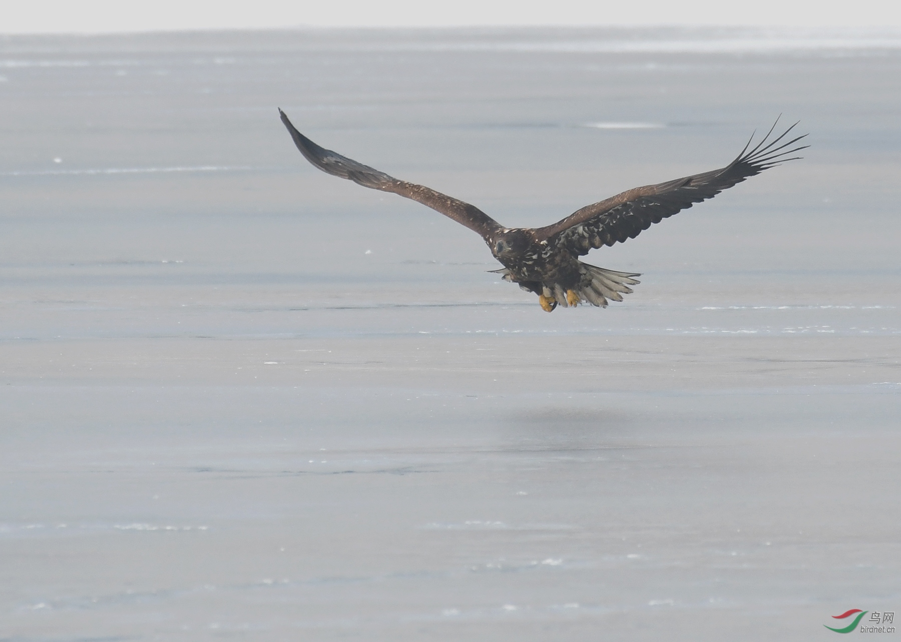 ������Ӱ 338����.jpg