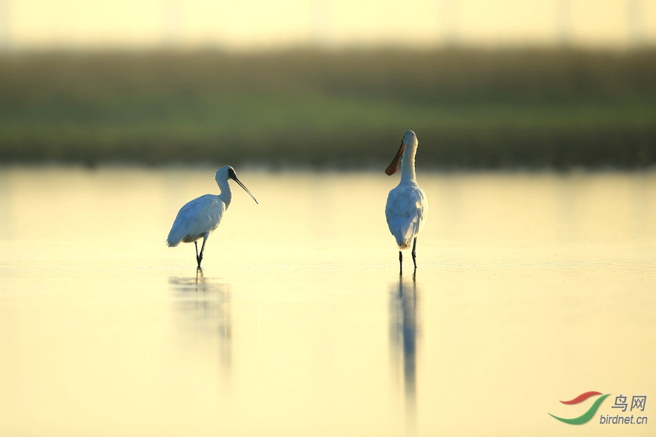 20150510 968����.jpg