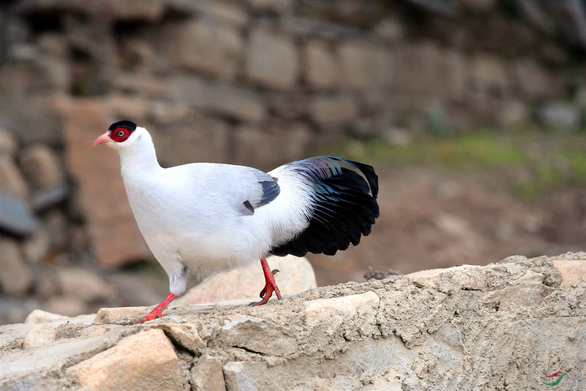 00002007_����_���� (3).jpg