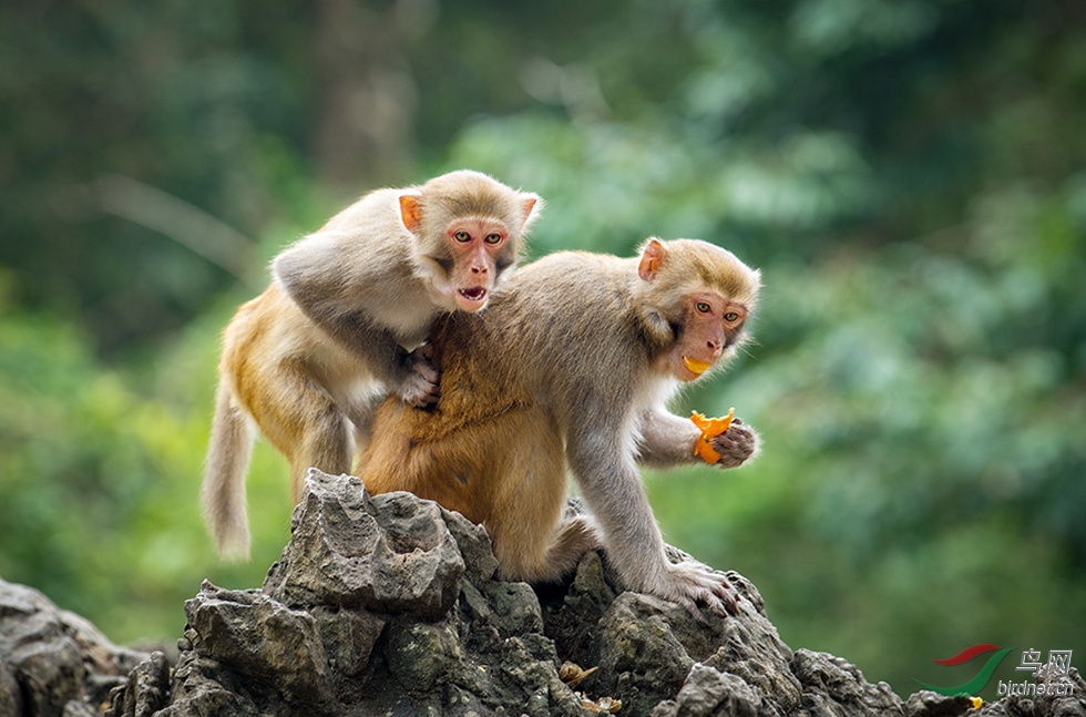 �����----��