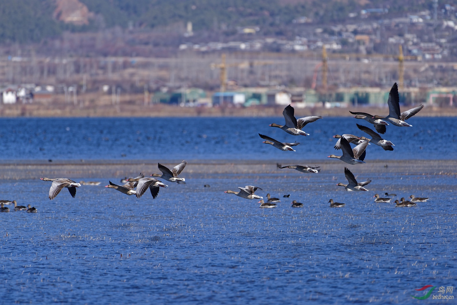 DSC_1343_DxO-1.jpg