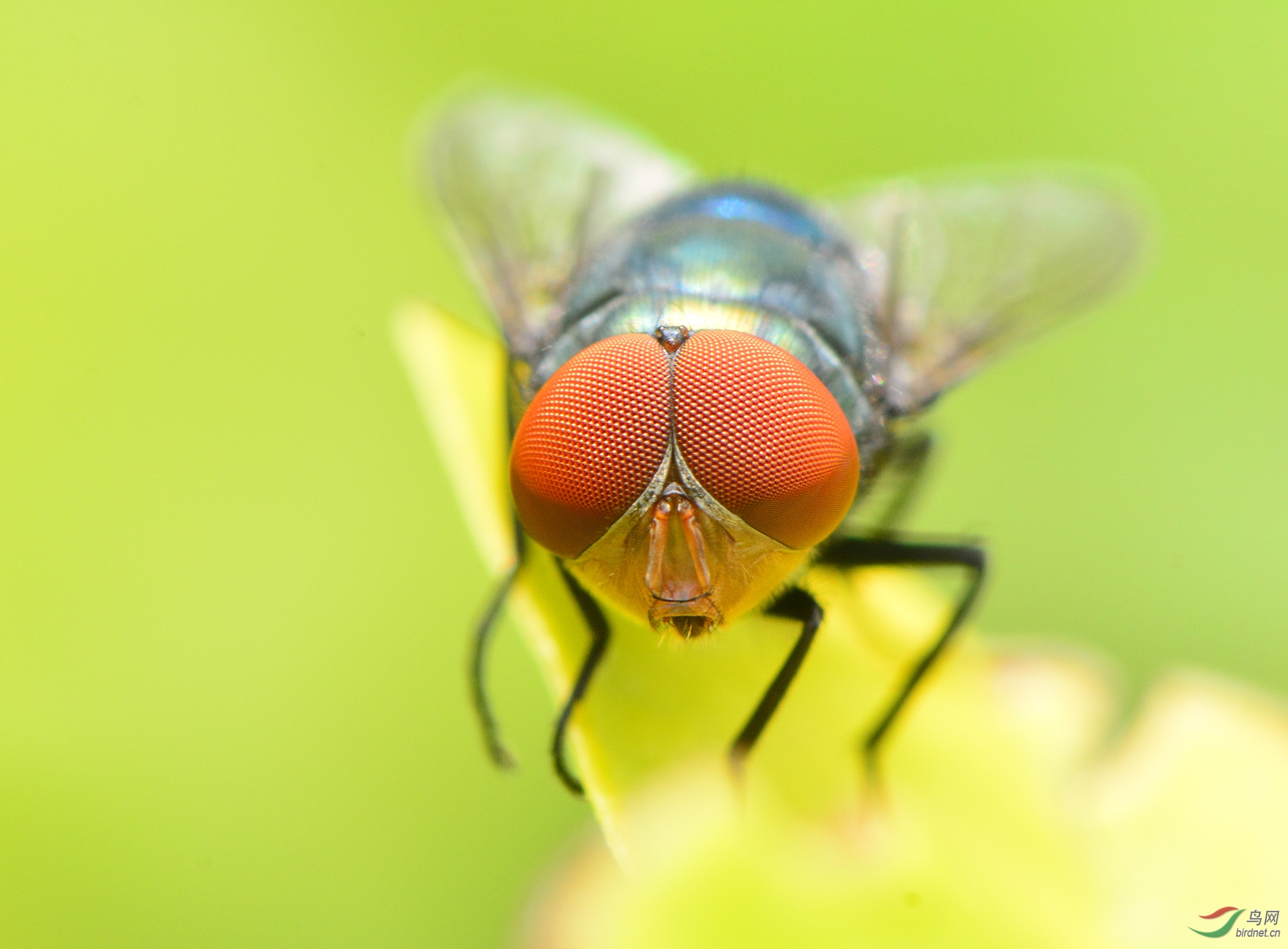 ������Ӱ 2684����.jpg